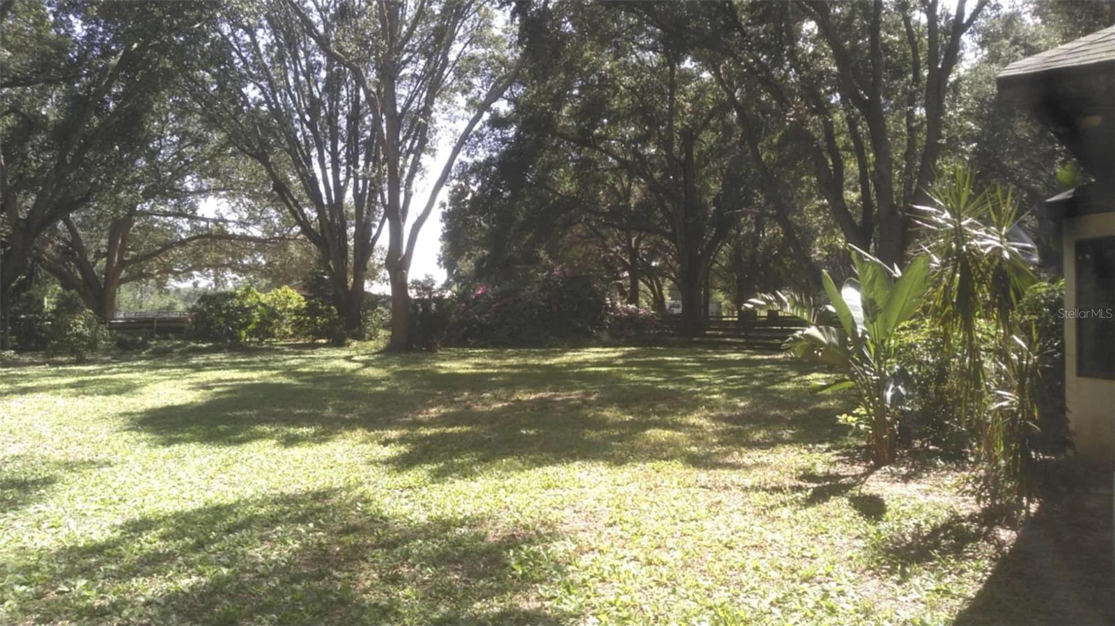 LADY LAKE, Florida, 32159, United States, 5 Bedrooms Bedrooms, ,3 BathroomsBathrooms,Residential,For Sale,1850305
