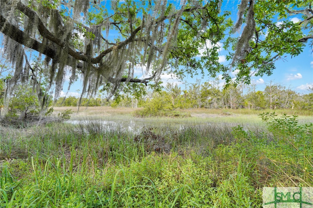 Savannah, Georgia, 31410, United States, 4 Bedrooms Bedrooms, ,4 BathroomsBathrooms,Residential,For Sale,1888568