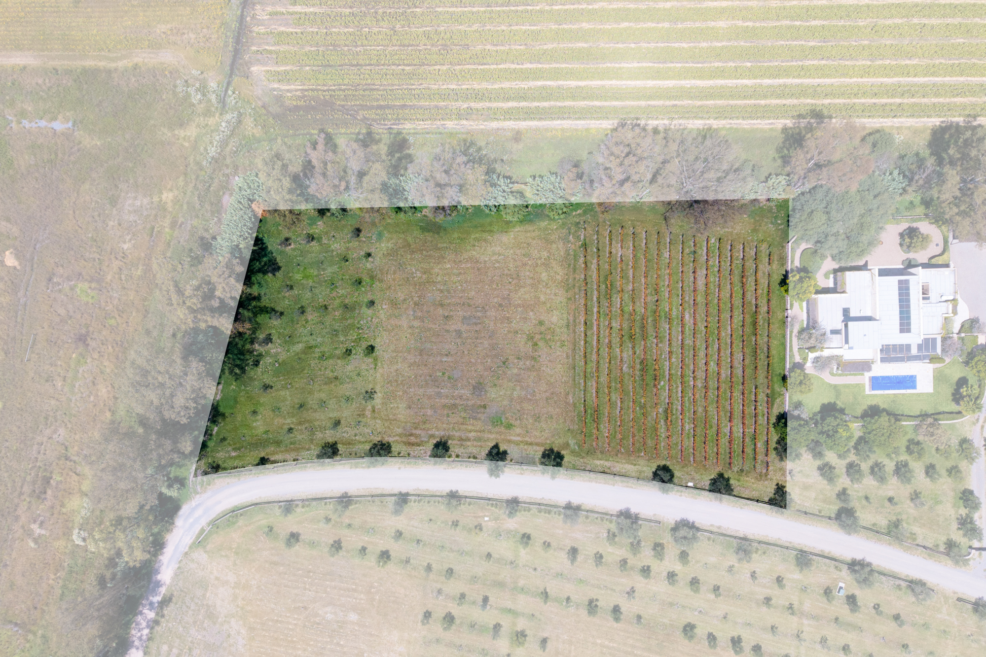  San Francisco Vineyards Lot 1 - 物件實景
