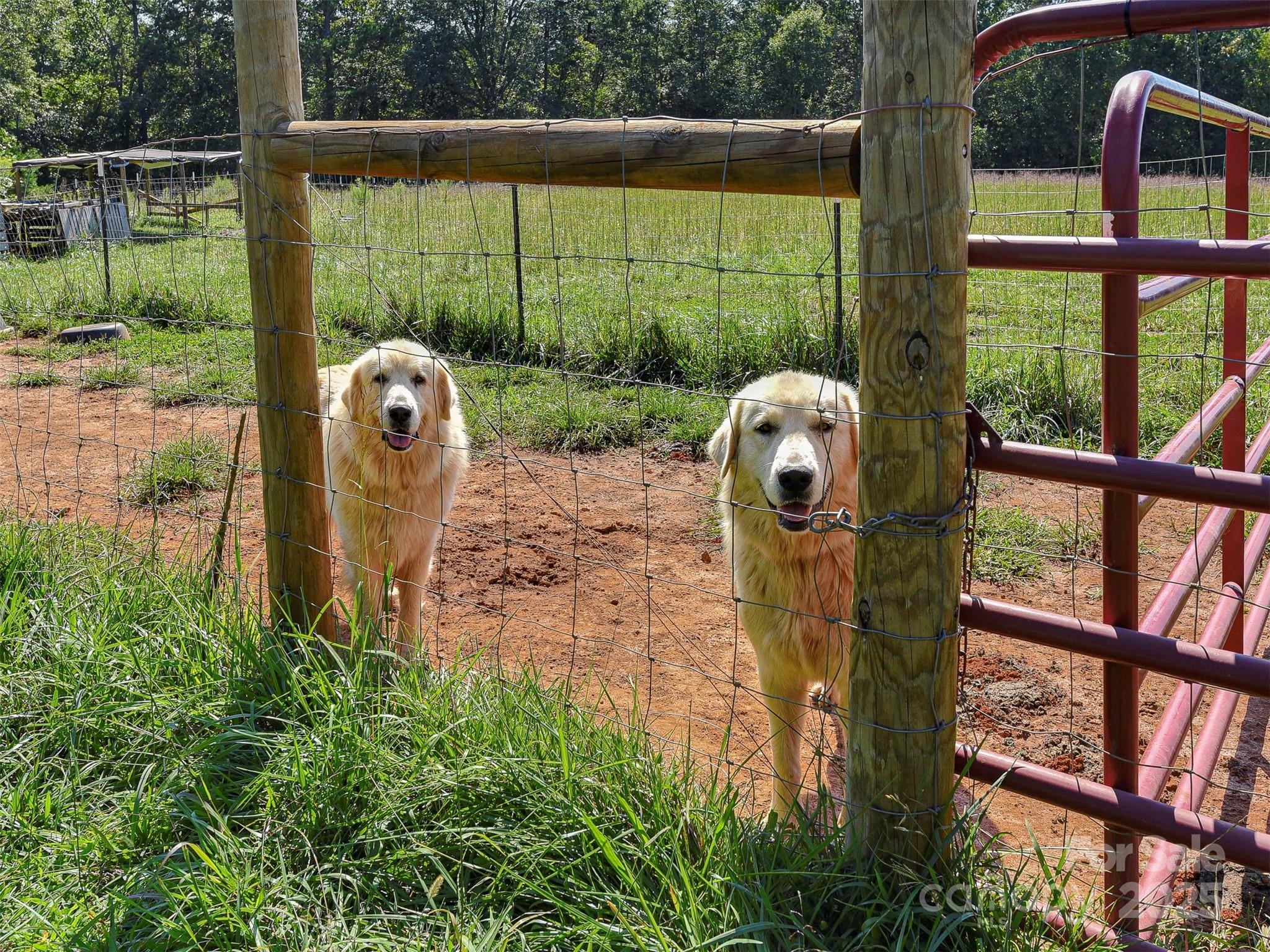Forest City, North Carolina, 28043, United States, 2 Bedrooms Bedrooms, ,1 BathroomBathrooms,Residential,For Sale,1983157