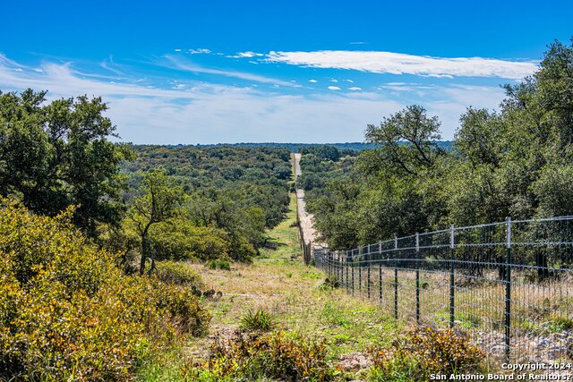 342 Mealy Sage Rd, Harper, Texas, 78631, United States, 4 Bedrooms Bedrooms, ,2 BathroomsBathrooms,Residential,For Sale,342 Mealy Sage Rd,1463716