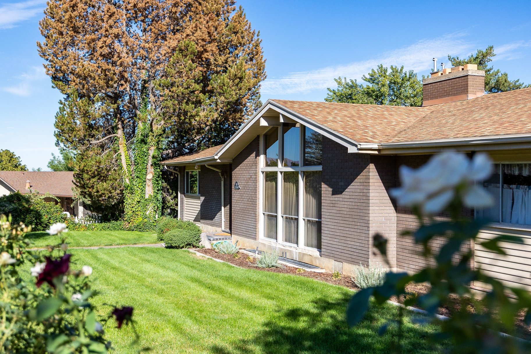  Spacious Living in an Established Springville Neighborhood - 物件實景