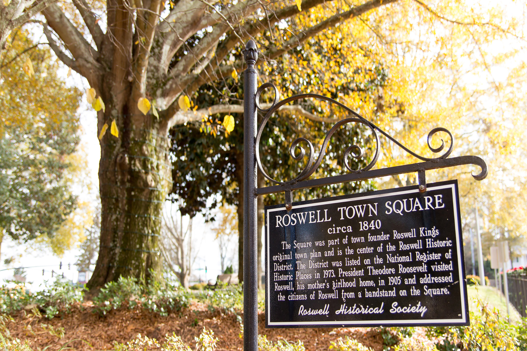 Timeless Colonial-Style Estate Near Historic Roswell - 物件實景