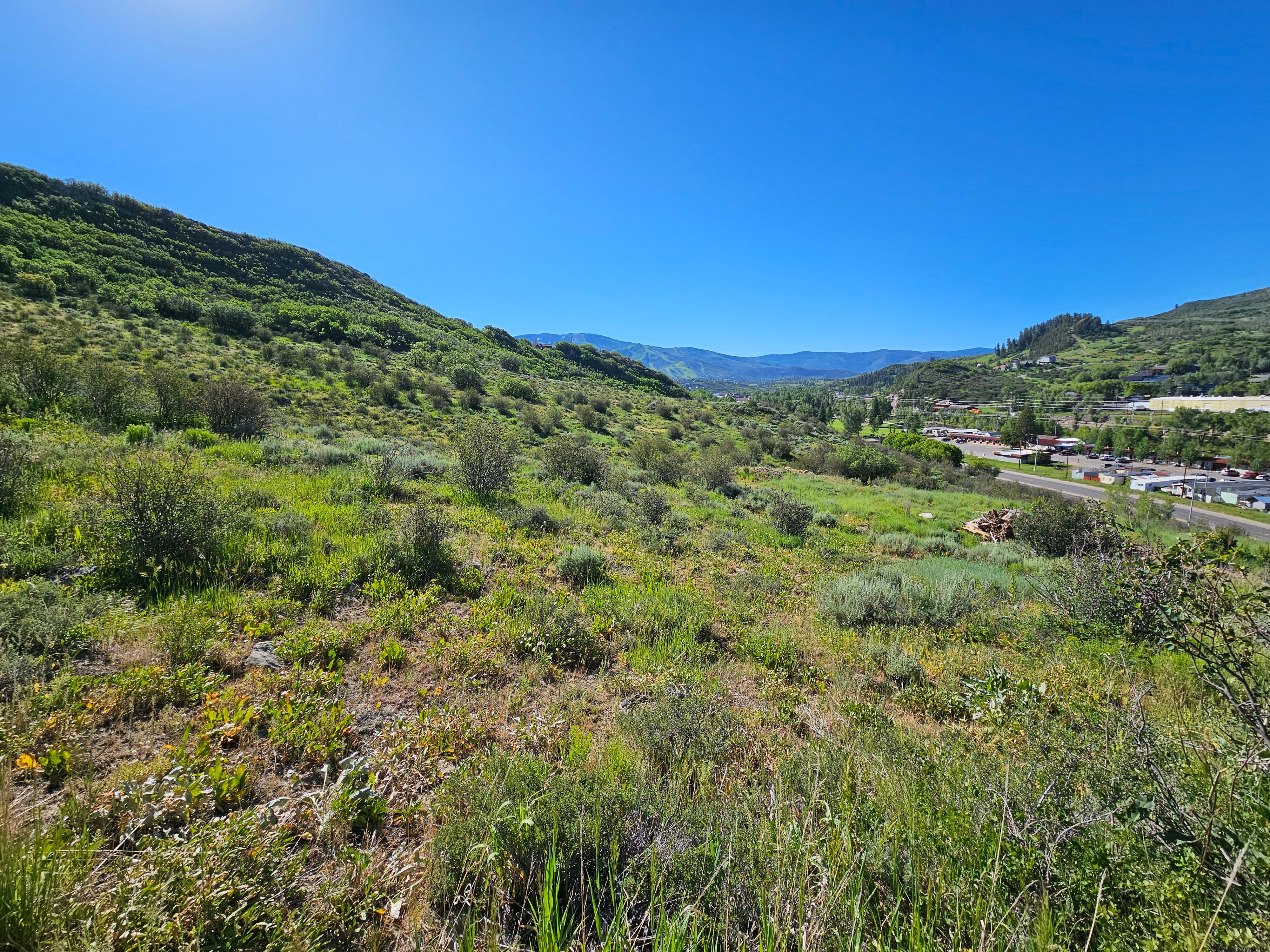  1327 Indian Trail, Steamboat Springs, CO, 80487 - 物件實景