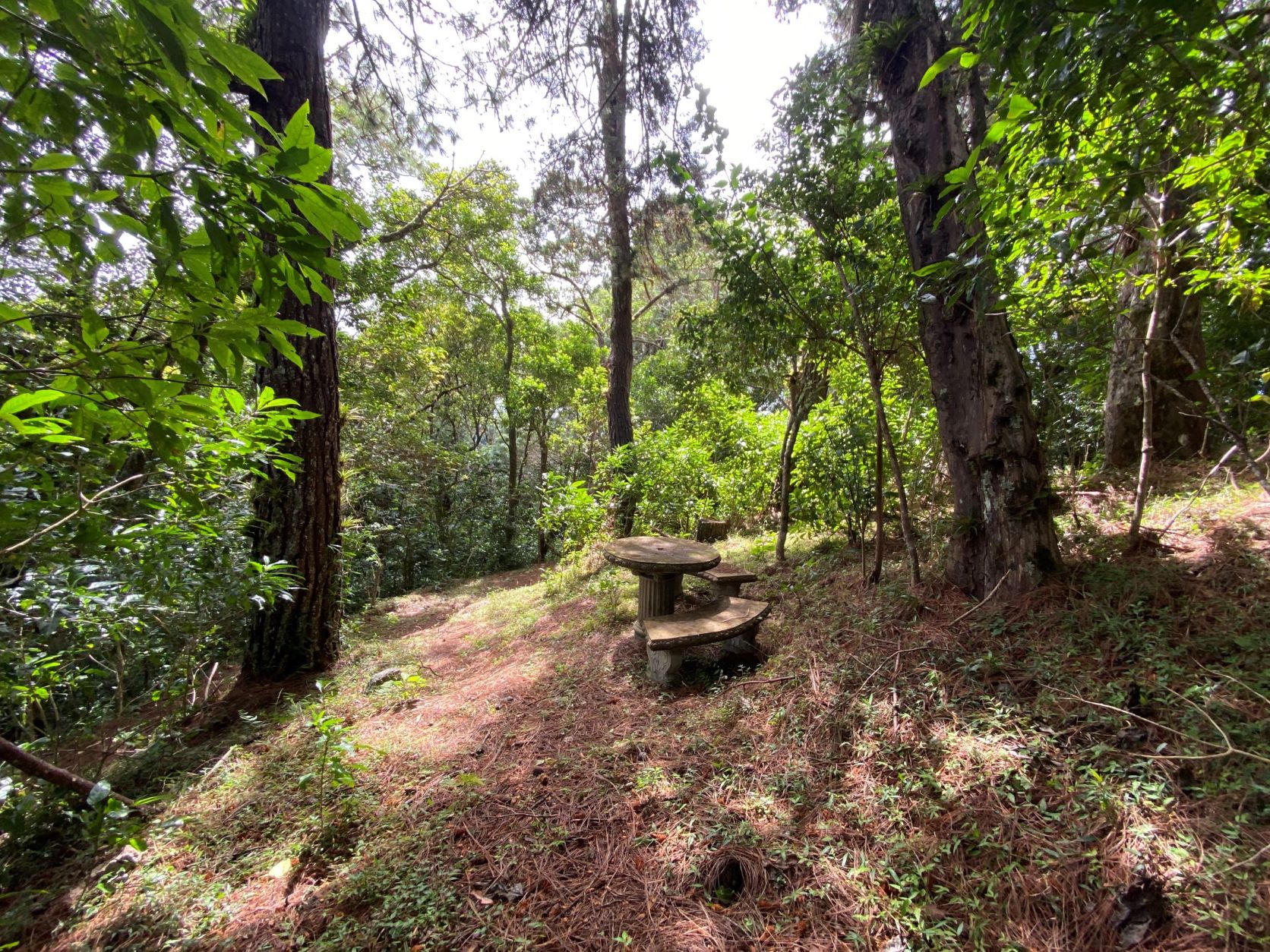 Concepcion de San Isidro Heredia, Concepcion, Heredia, CR, ,Land,For Sale,Concepcion de San Isidro Heredia,1587739