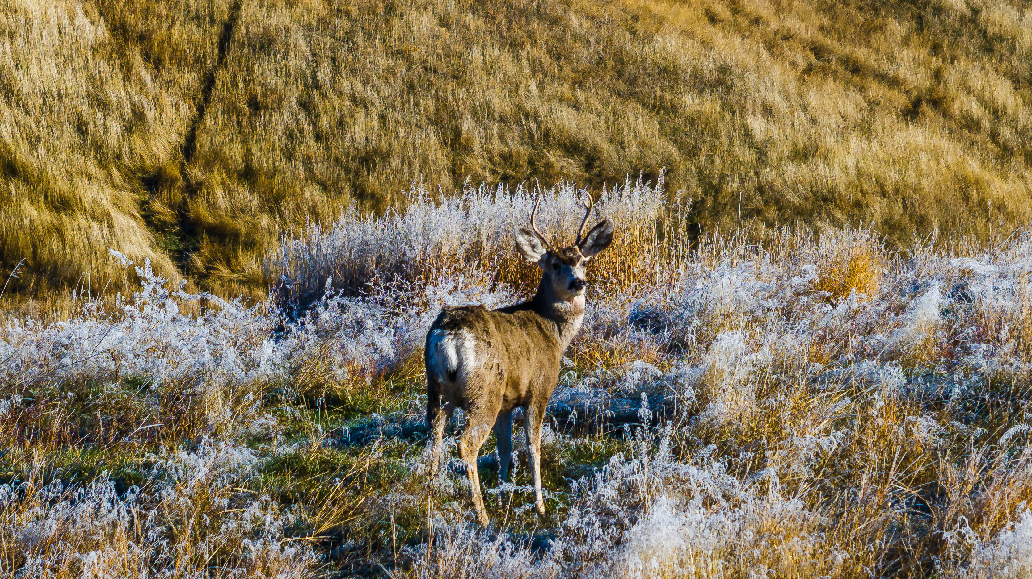 Sheridan, Wyoming, 82801, United States, ,Land,For Sale,2005822