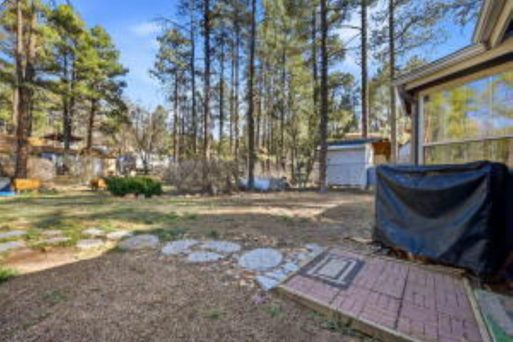  1009 Chaparral Drive¦Show Low, AZ - 物件實景