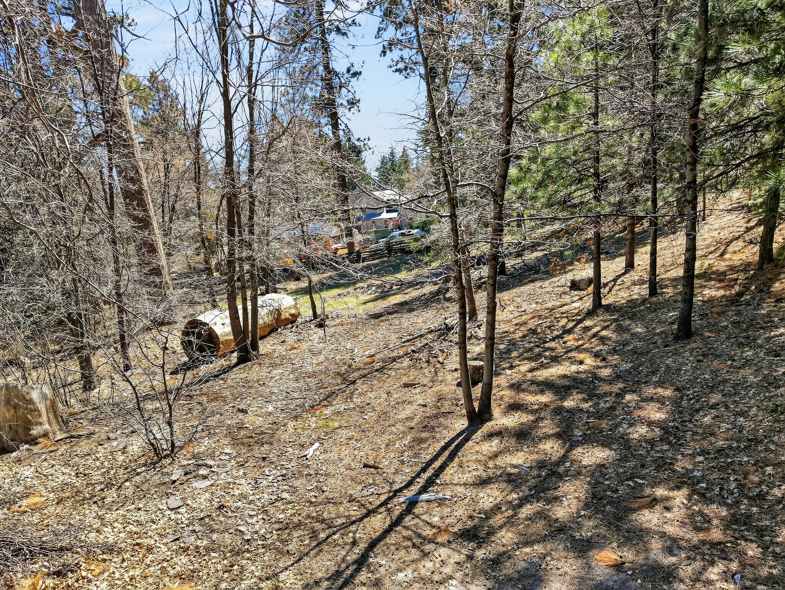  0 Cepu Rd, Running Springs , CA 92382 - 物件實景