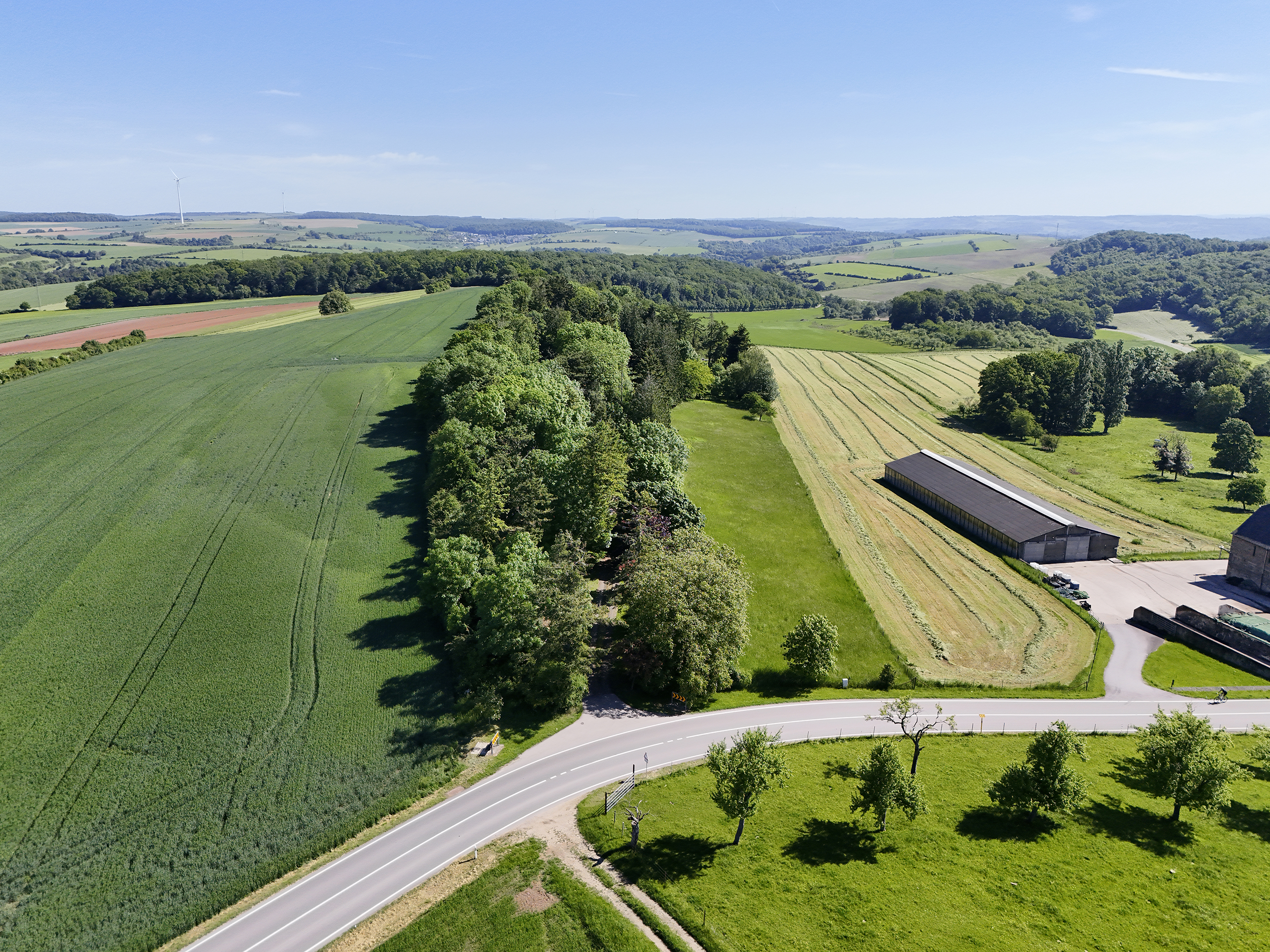  Domaine privé à Manternach - 物件實景