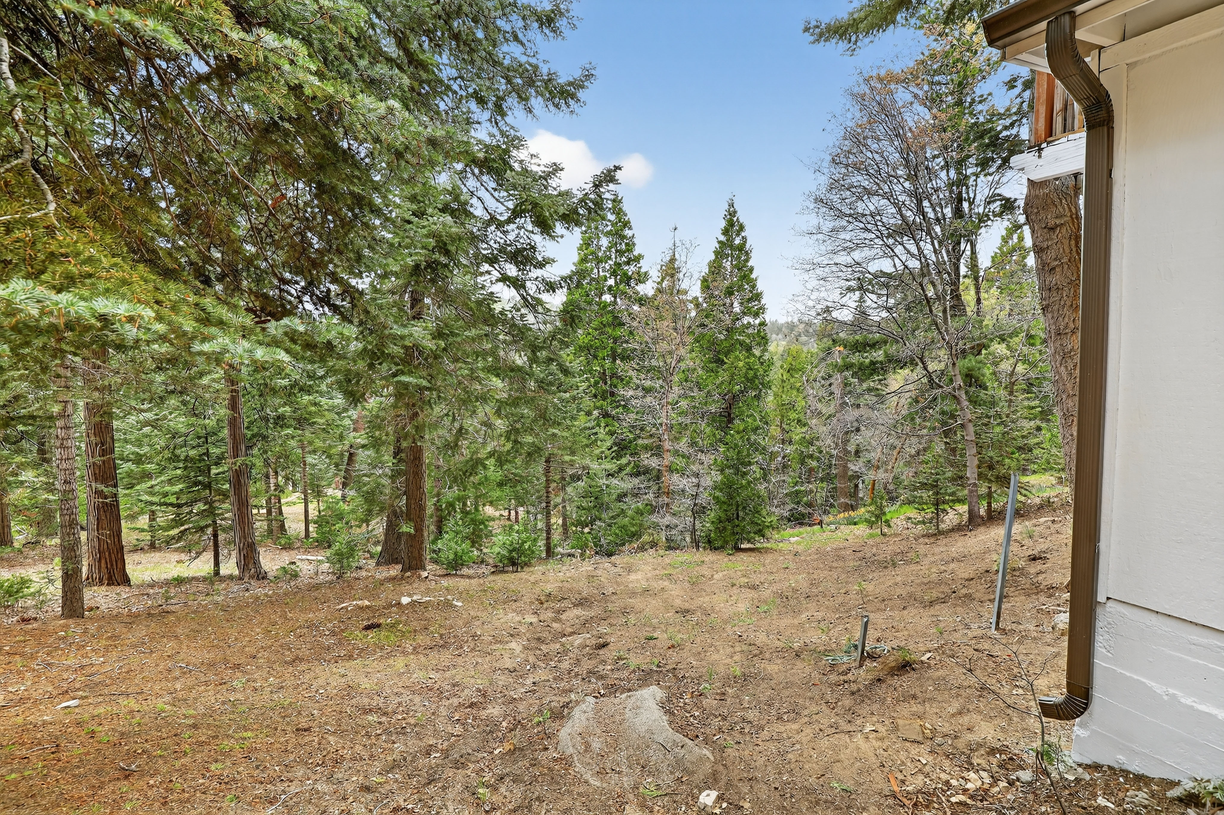  628 Rose Lane, Lake Arrowhead, CA 92391 - 物件實景