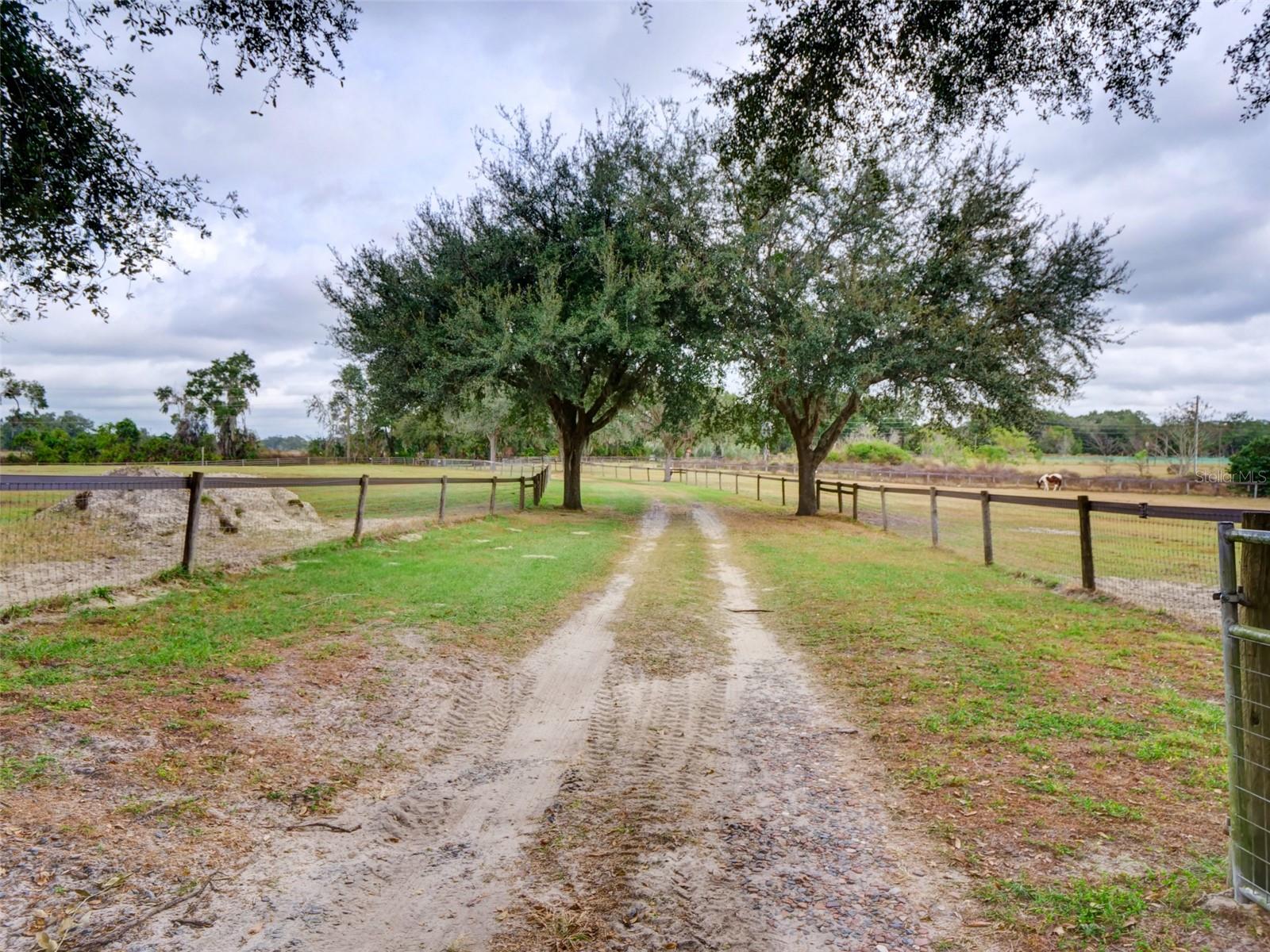 Wildwood, Florida, 34785, United States, 3 Bedrooms Bedrooms, ,2 BathroomsBathrooms,Residential,For Sale,2002543