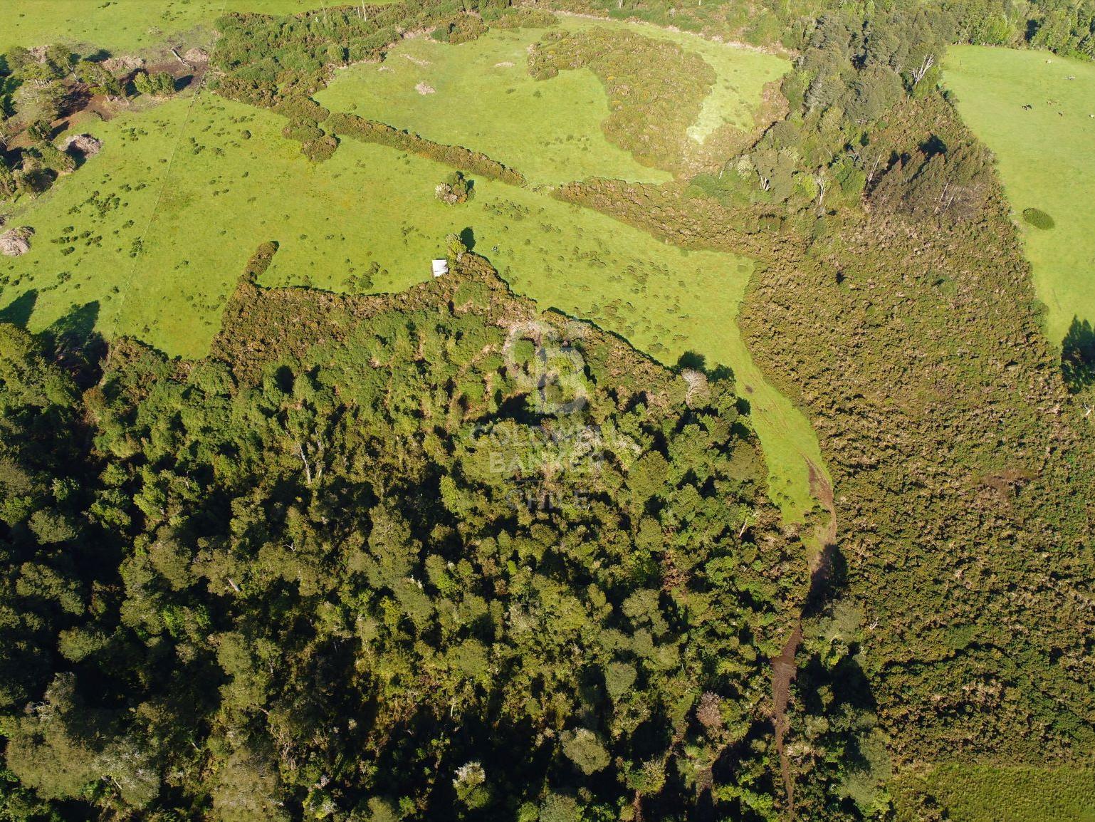 Ancud, Chile, ,Residential,For Sale,1759284