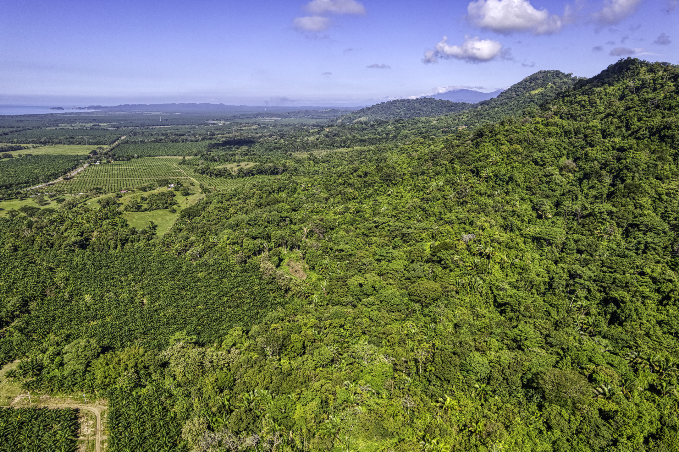 Portalon, Dominical, Puntarenas, CR, ,Land,For Sale,Portalon,1586164