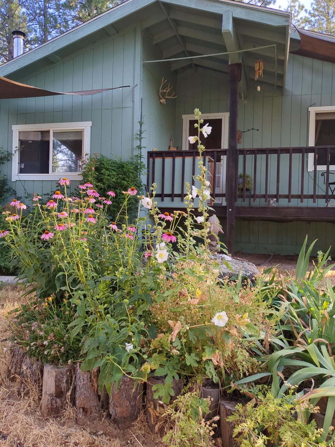 Camptonville, California, 95922, United States, 1 Bedroom Bedrooms, ,2 BathroomsBathrooms,Residential,For Sale,1938019