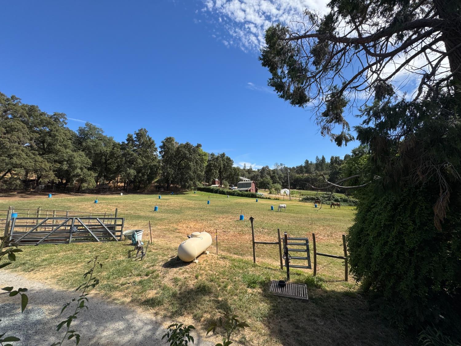 Rough And Ready, California, 95975, United States, 4 Bedrooms Bedrooms, ,3 BathroomsBathrooms,Residential,For Sale,1982646