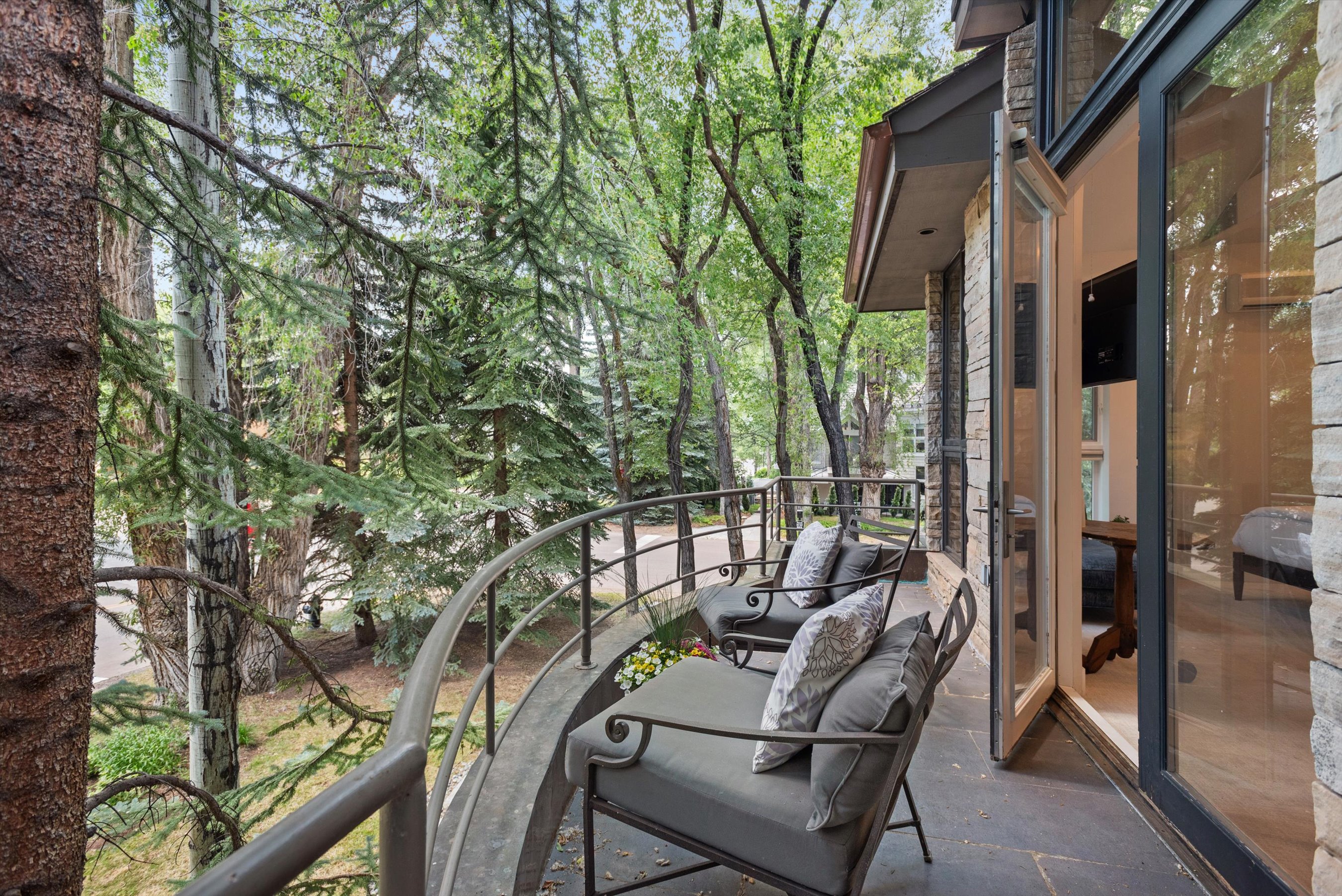 736 W Smuggler Street, Aspen, CO, 81611 - 物件實景