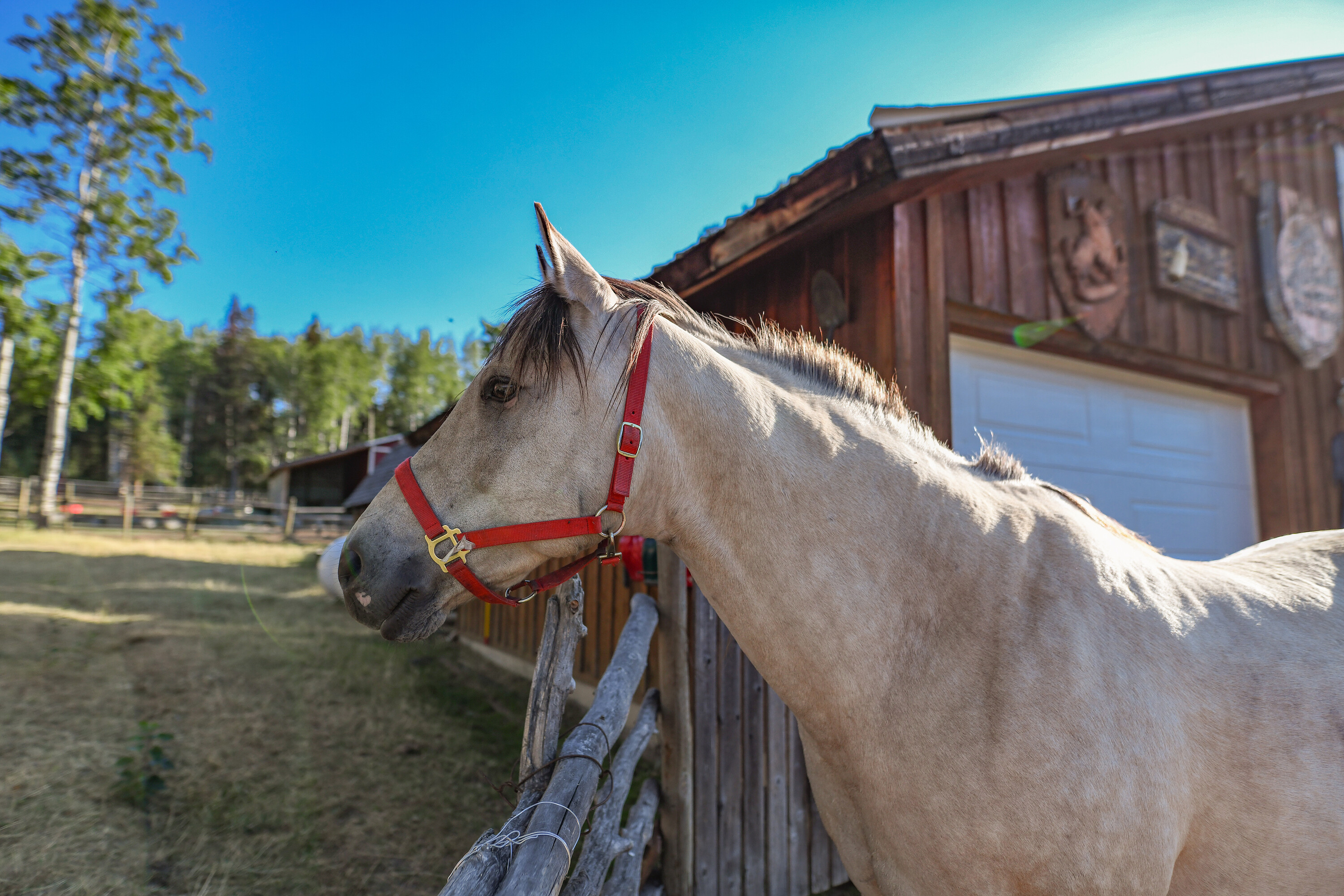  Montana Hill Guest Ranch - 物件實景