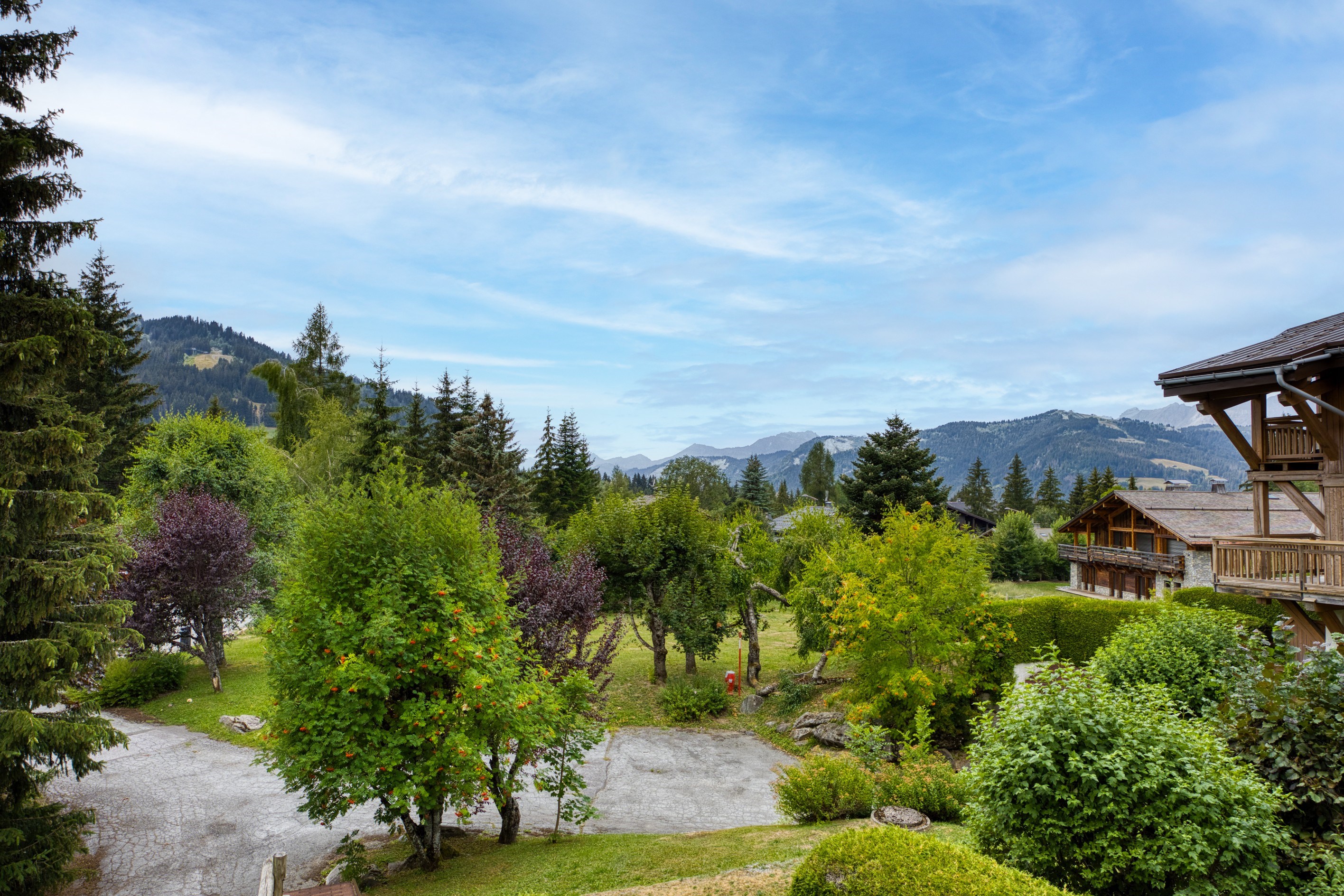  Apartment Horizon - Panoramic view of Mont d