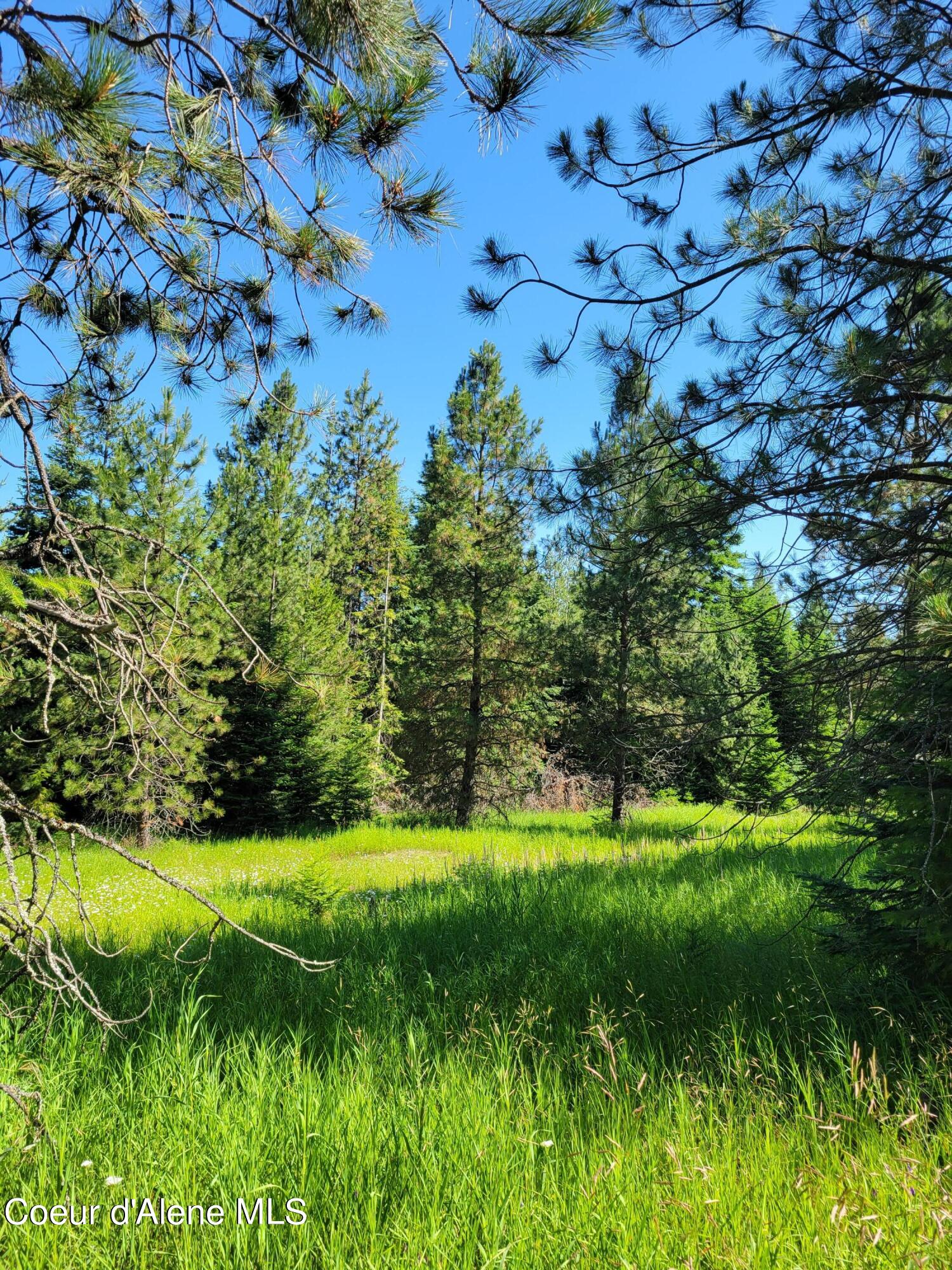 Coeur d'Alene, Idaho, 83814, United States, ,Residential,For Sale,1937421