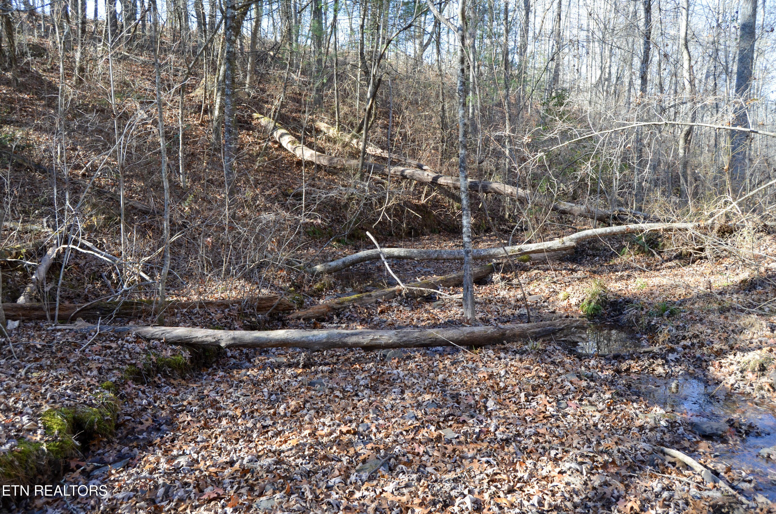 Crossville, Tennessee, 38555, United States, ,Land,For Sale,1978266