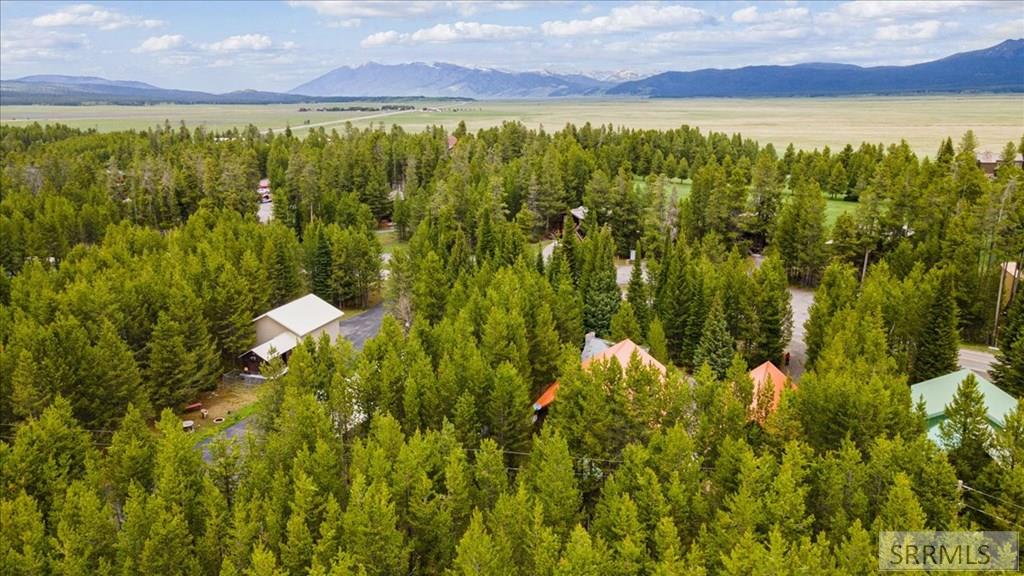 ISLAND PARK, Idaho, 83429, United States, 5 Bedrooms Bedrooms, ,3 BathroomsBathrooms,Residential,For Sale,2005843