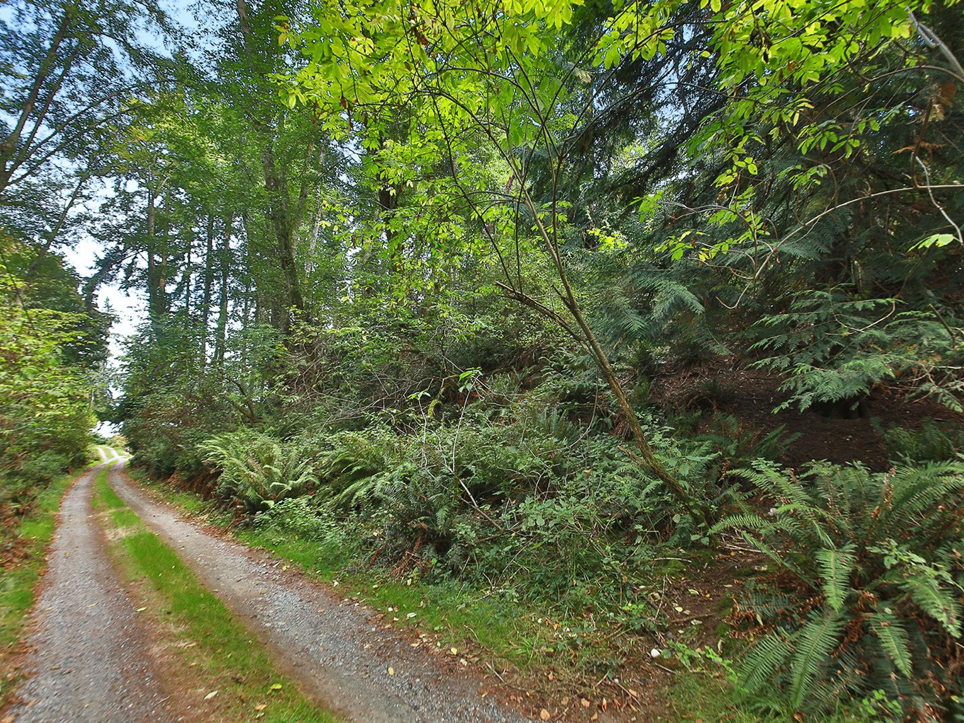  XXX Waterside Lane, Langley, WA 98260 - 物件實景
