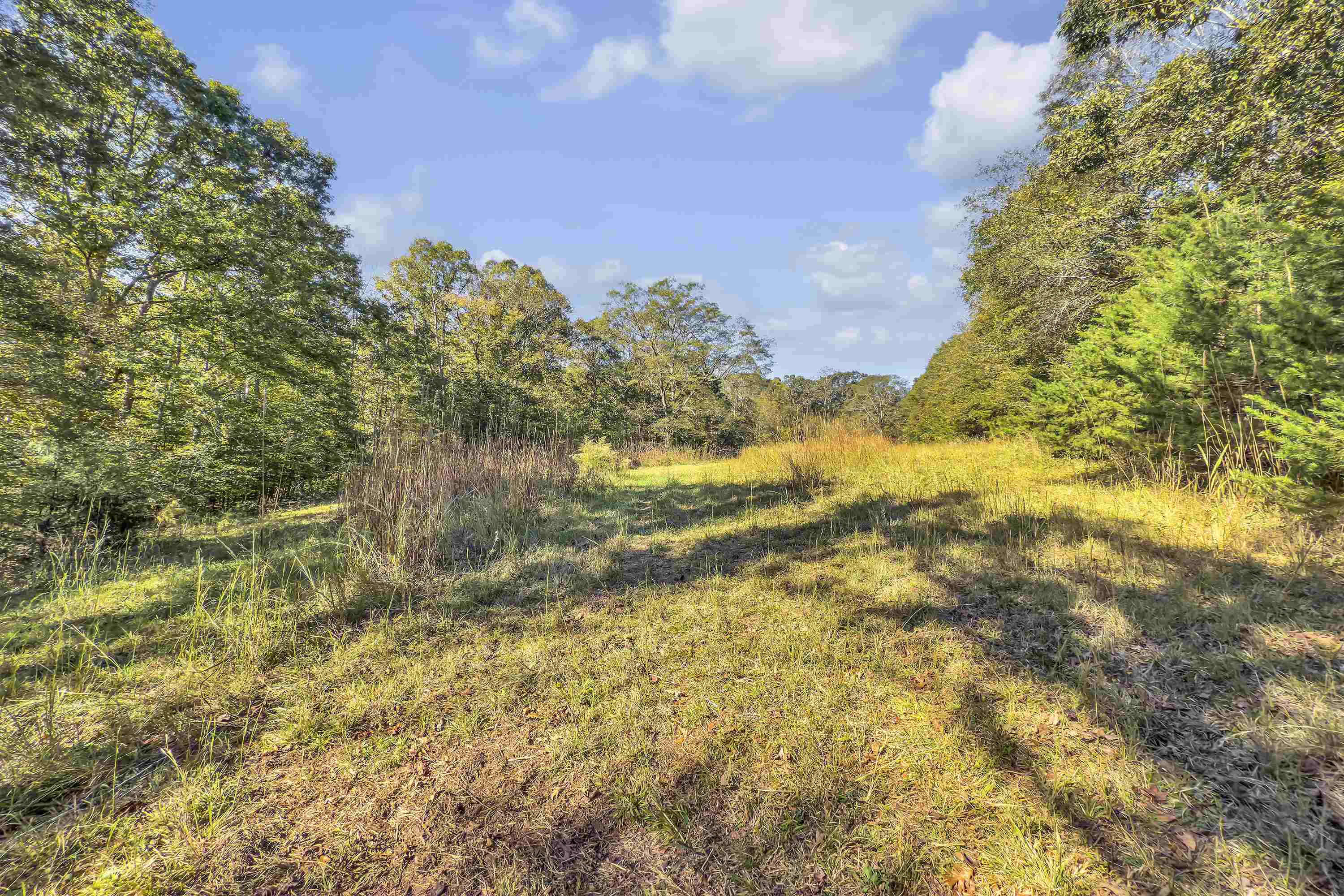 Old Converse Road, Spartanburg, South Carolina, 29301, United States, ,Land,For Sale,Old Converse Road,1646994