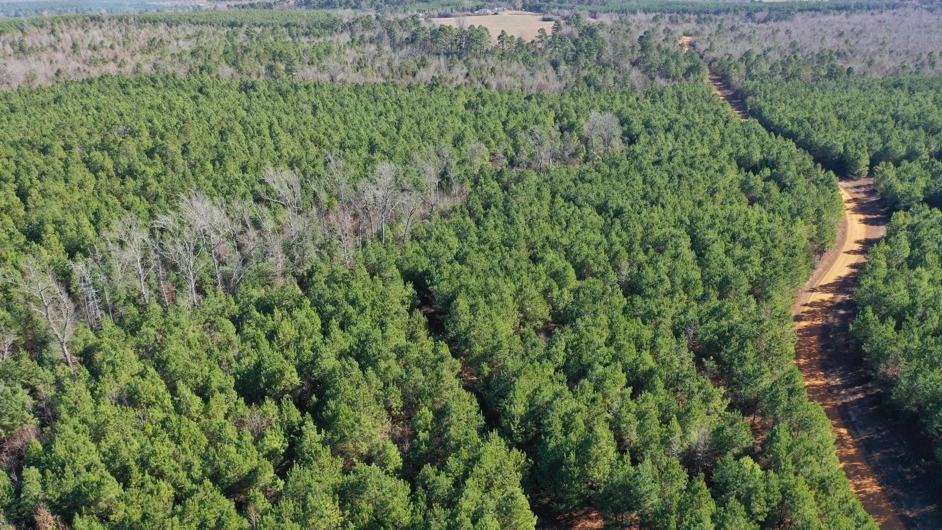 Linden, Texas, 75563, United States, ,Land,For Sale,2005293