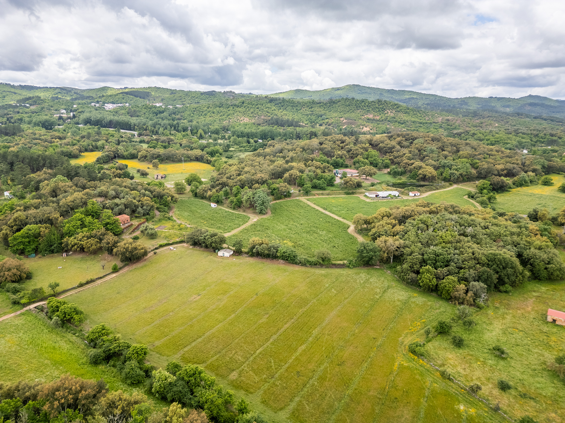  Cattle, equestrian, agricultural, and ecological farm in Aracena