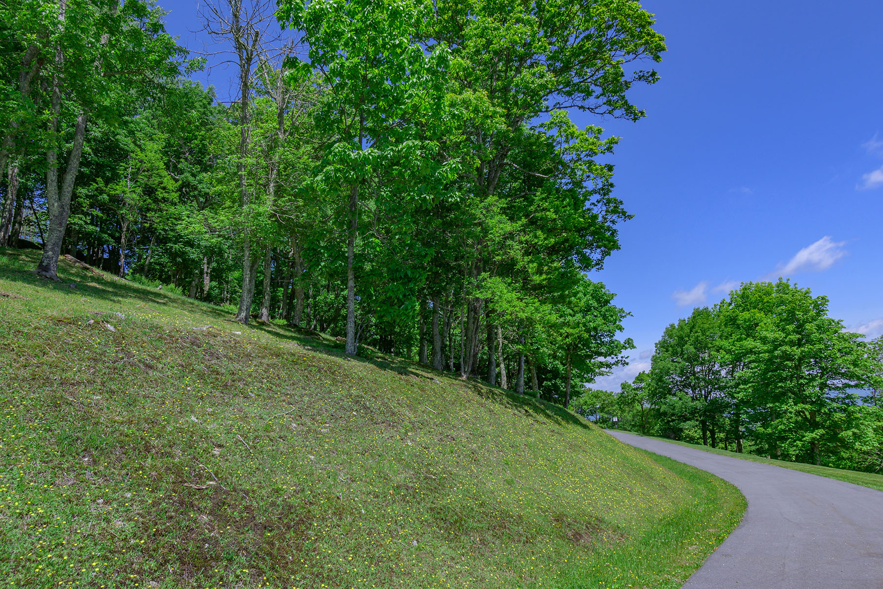  BANNER ELK - ROCKY KNOB - 物件實景