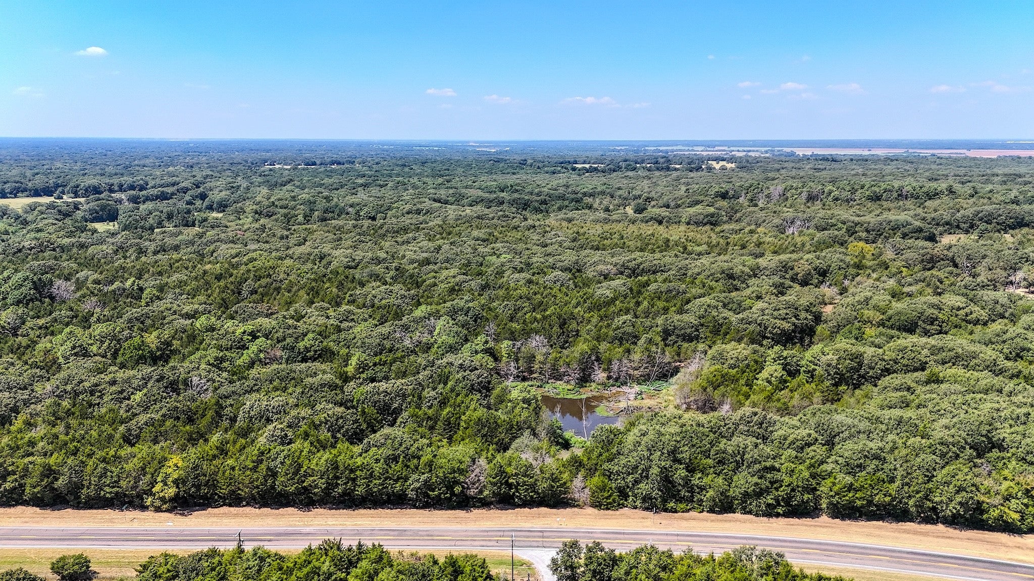 Ivanhoe, Texas, 75447, United States, ,Land,For Sale,1973742