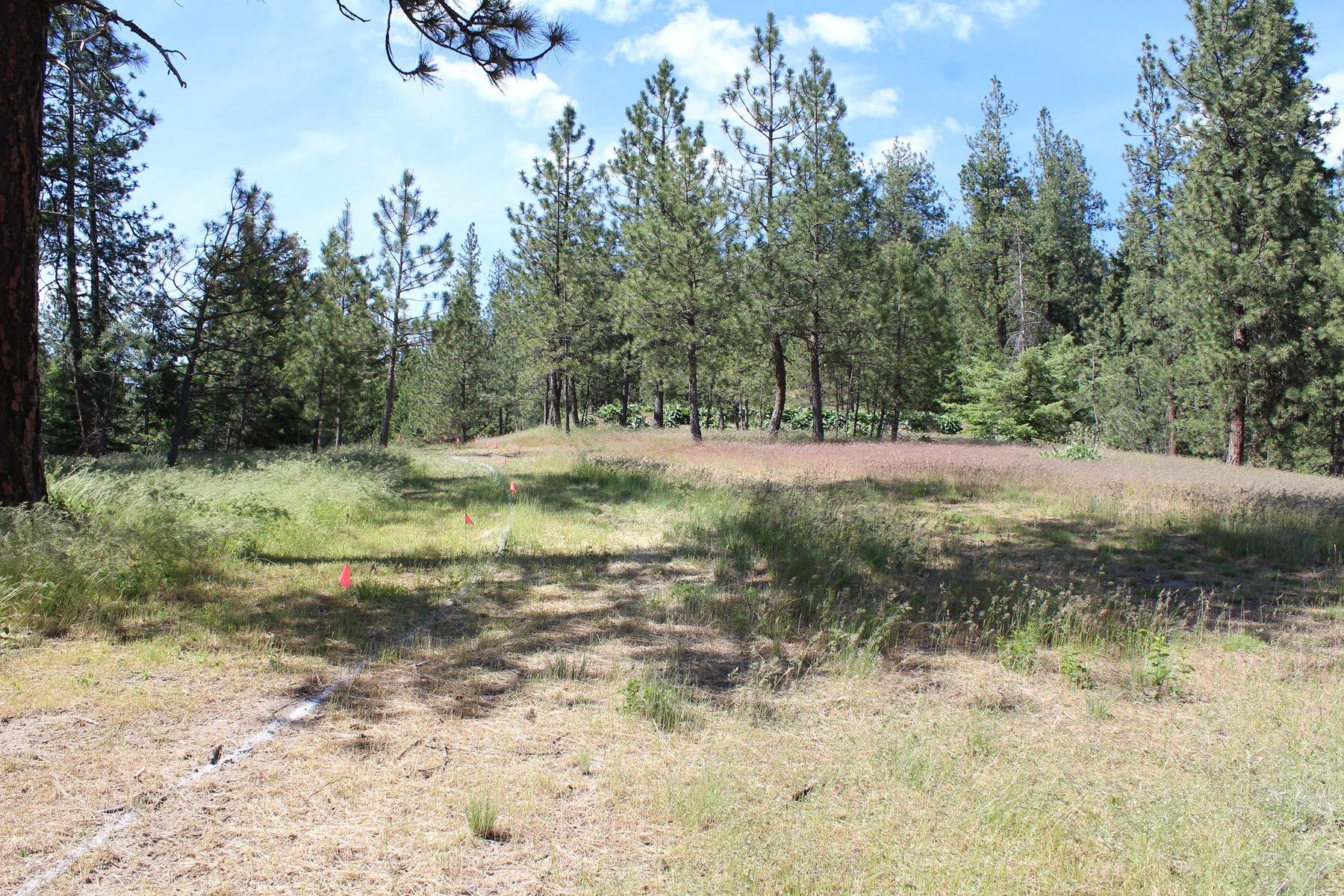  881 S Allen Rd and 2714 E Haven Dr Coeur d