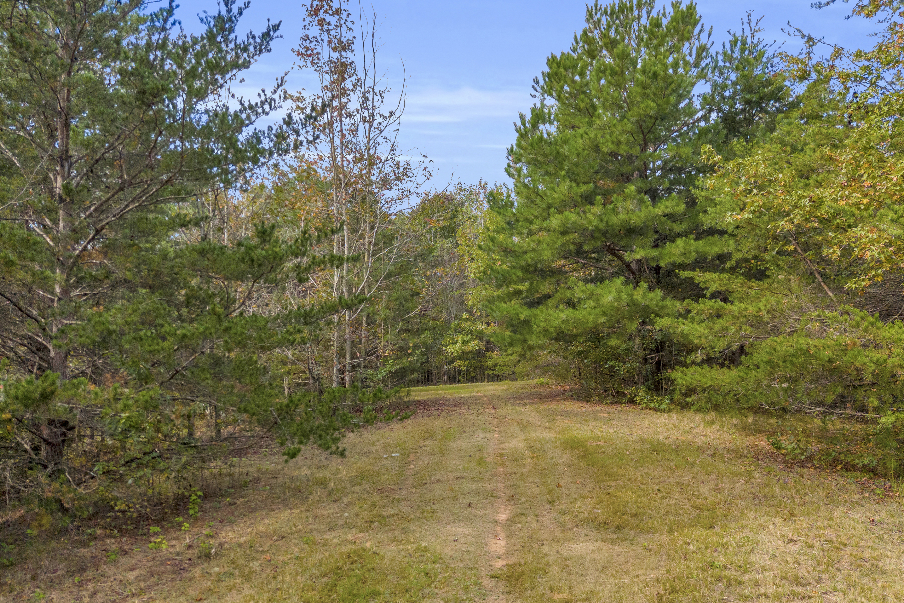 Cleveland, Georgia, 30528, United States, 3 Bedrooms Bedrooms, ,2 BathroomsBathrooms,Residential,For Sale,1979350