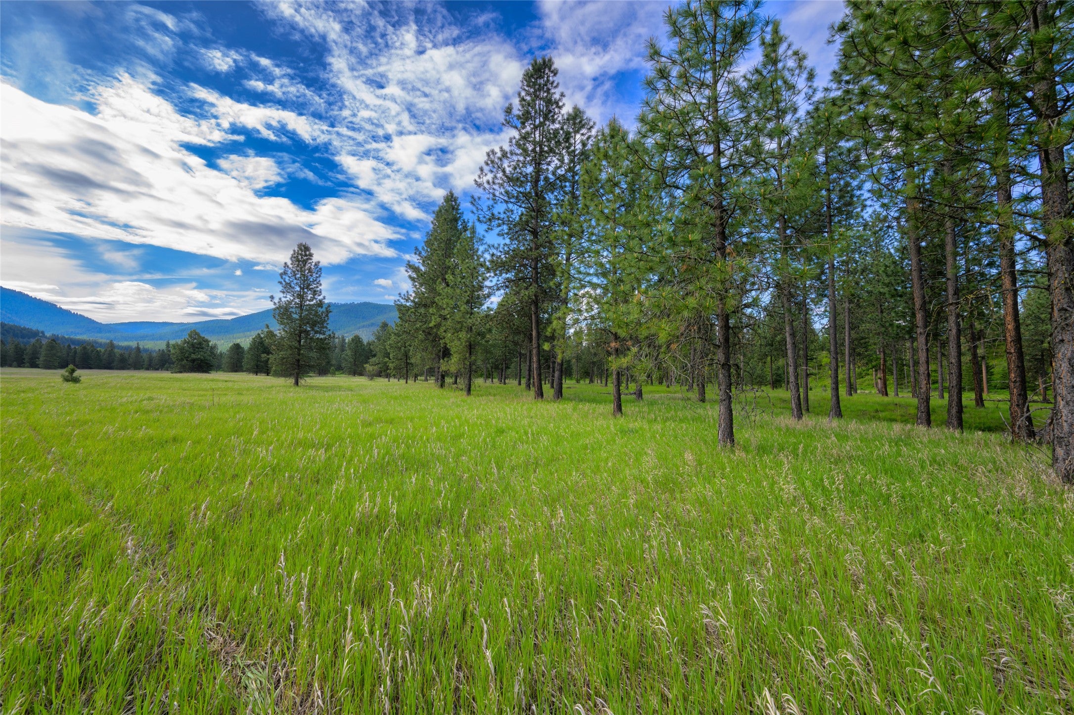 St Regis, Montana, 59866, United States, ,Land,For Sale,1848990