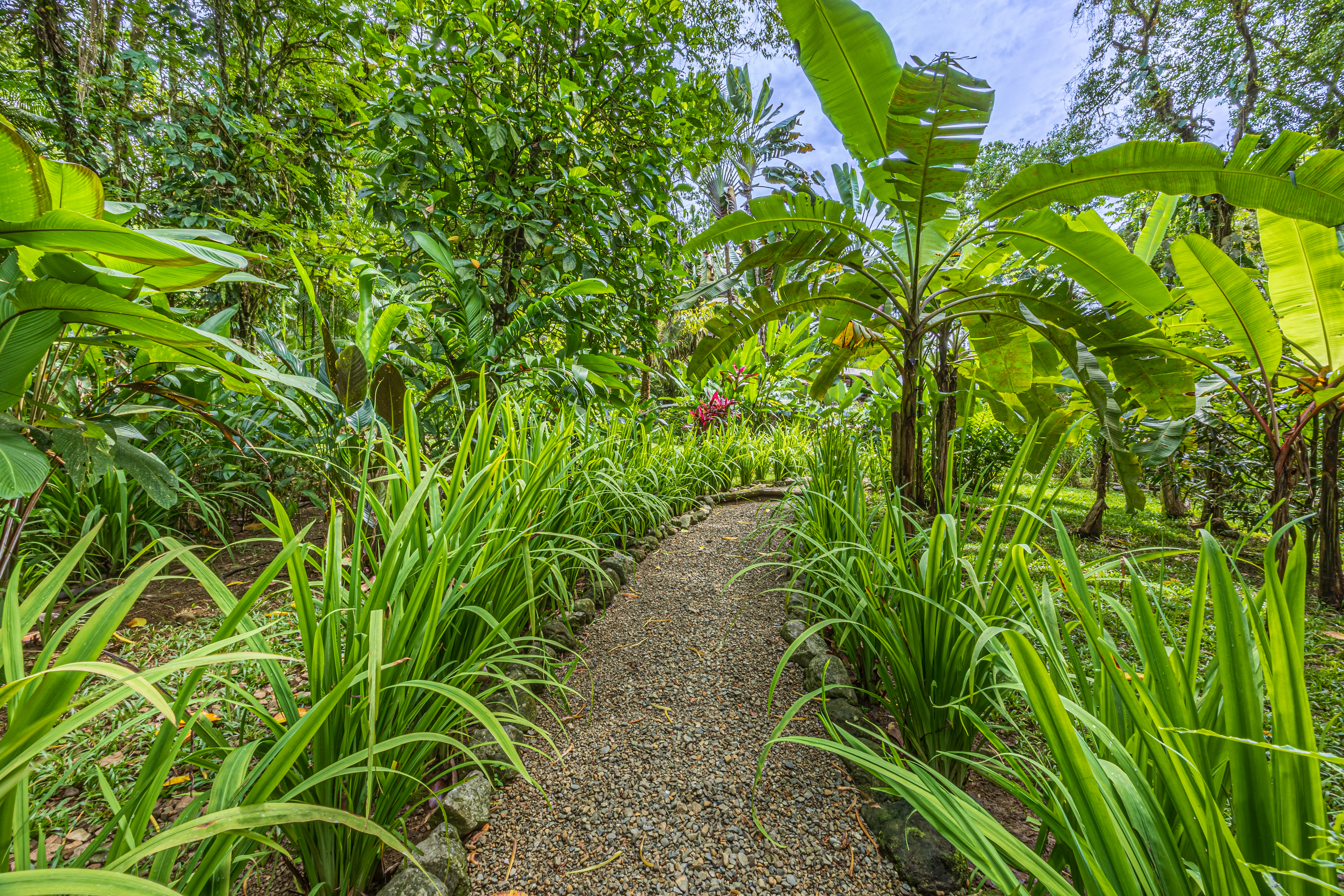 Golfito, Puntarenas, CR, 15 Bedrooms Bedrooms, ,13 BathroomsBathrooms,Residential,For Sale,1903279
