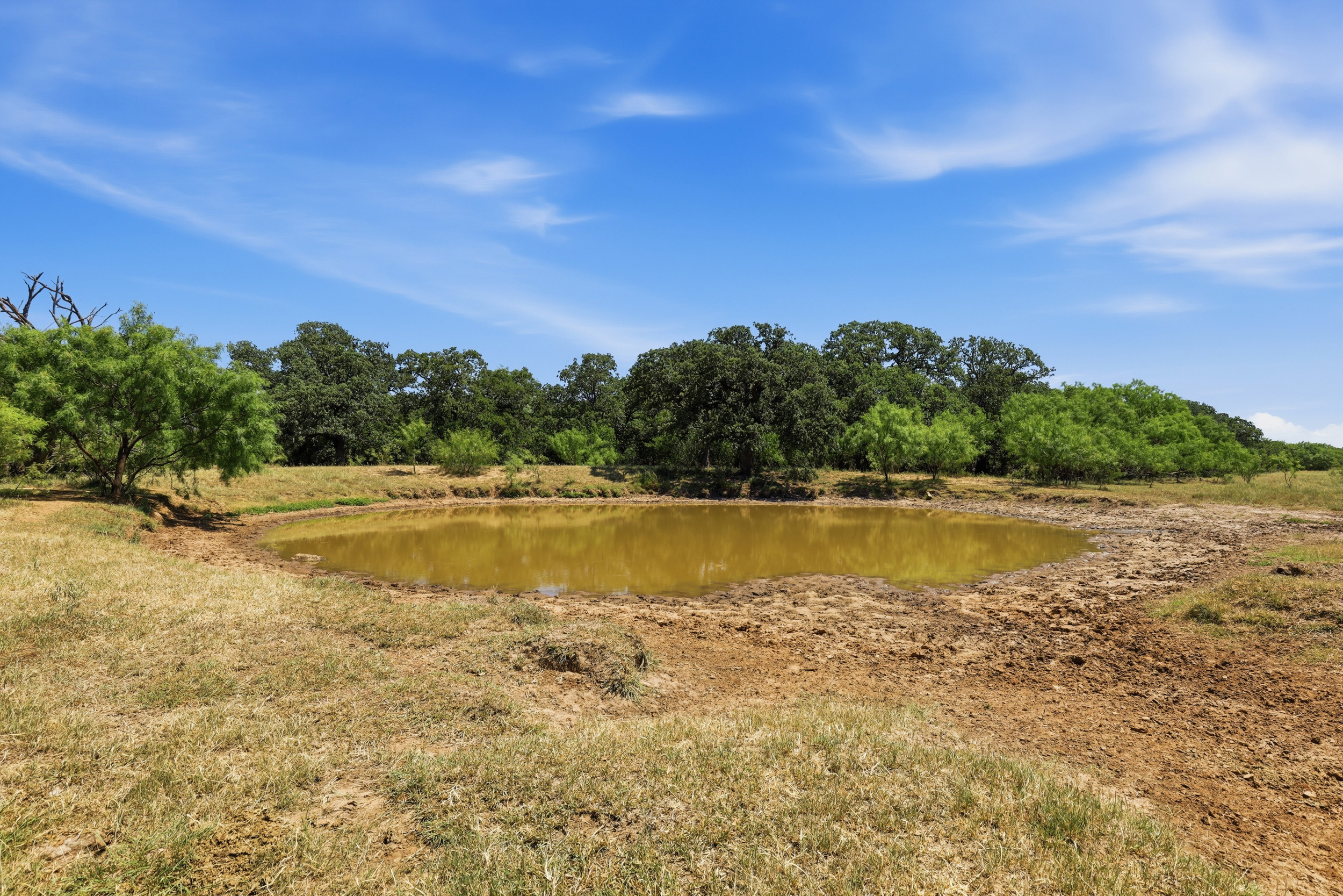  125 Acres of Texas Land for Recreation and Retreat - 物件實景