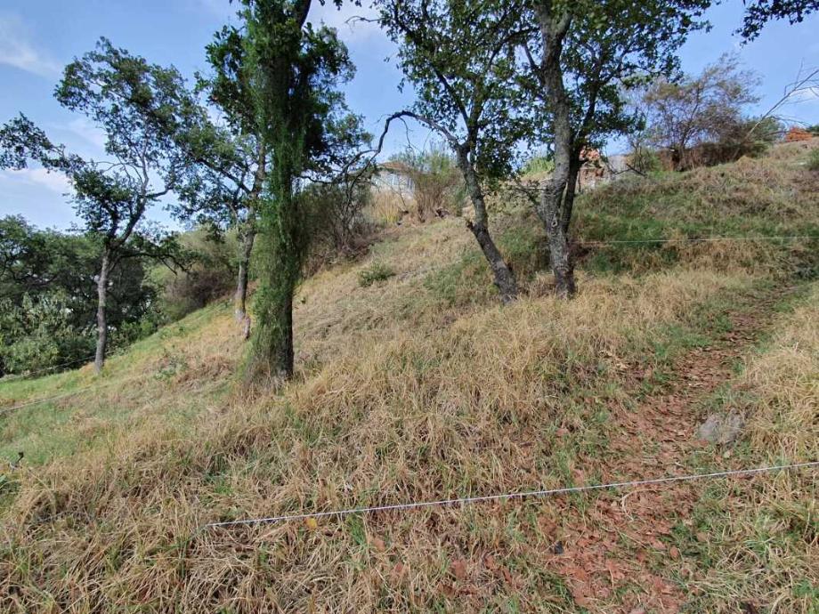 Castillo de Nottingham, Atizapán de Zaragoza, Estado de México, 52938, Mexico, 1 Bedroom Bedrooms, ,Residential,For Sale,Castillo de Nottingham,1444539