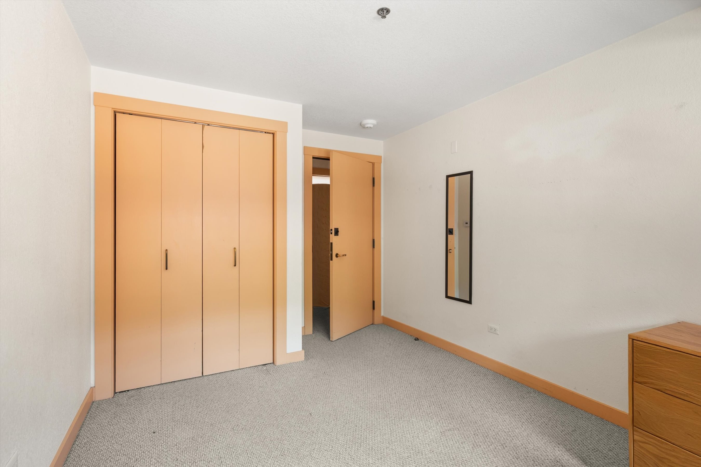  115 Boomerang Road, Aspen, CO, 81611 - 物件實景