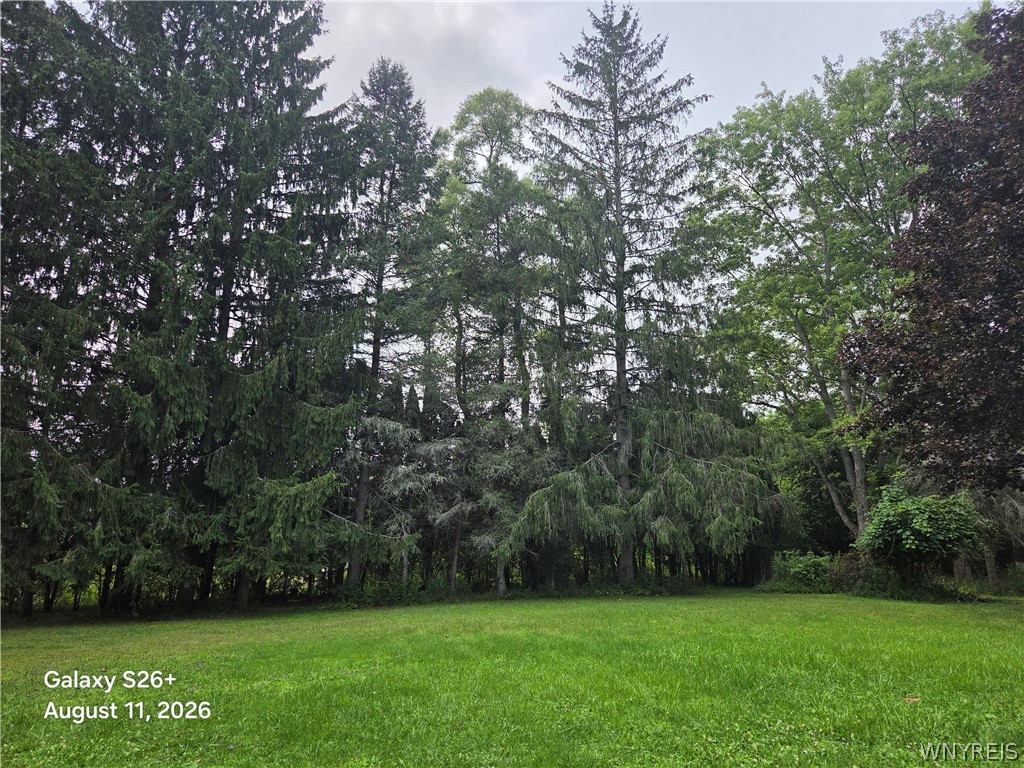 Route 446 , Cuba, NY 14727 #1