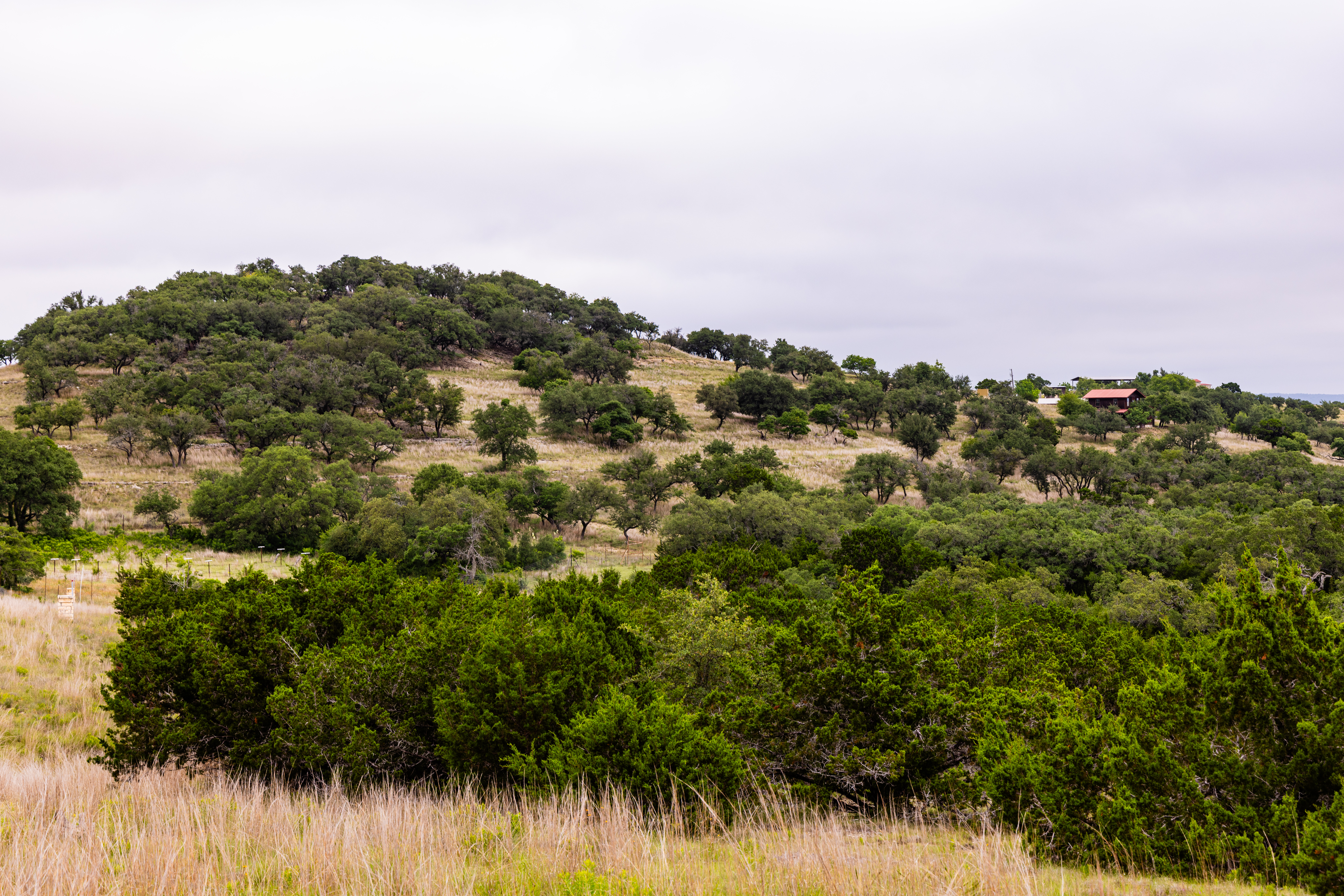  Expansive 10-Acre Lot - 物件實景