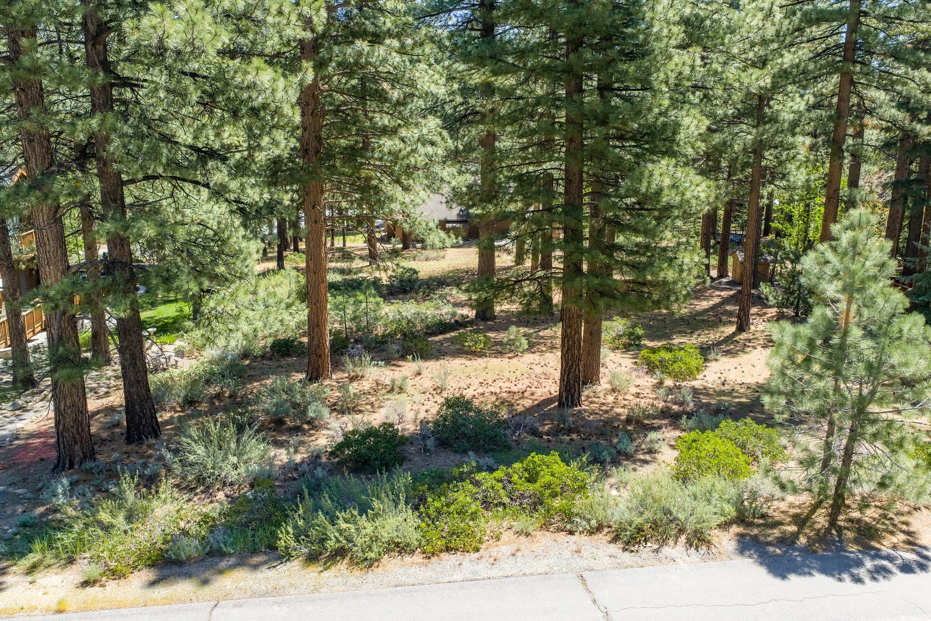  Private Galena Forest Parcel Near Mt. Rose with Pines & Tahoe Access - 物件實景