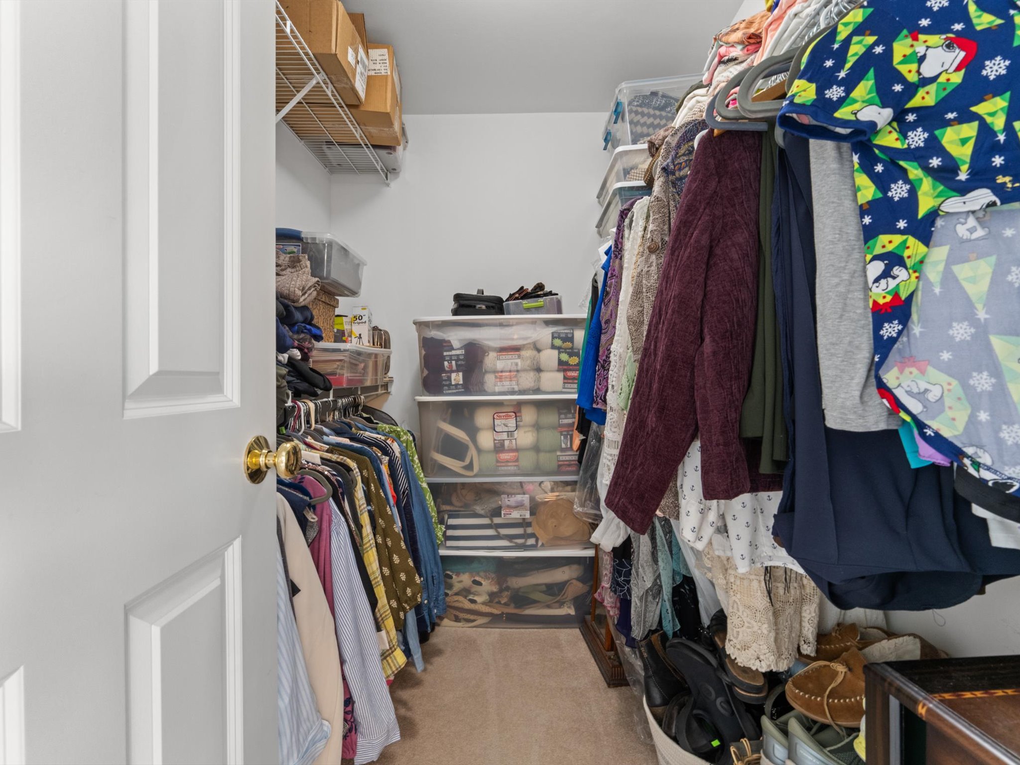  100 Buttercup Ln, Grafton, MA, 01560 - 物件實景