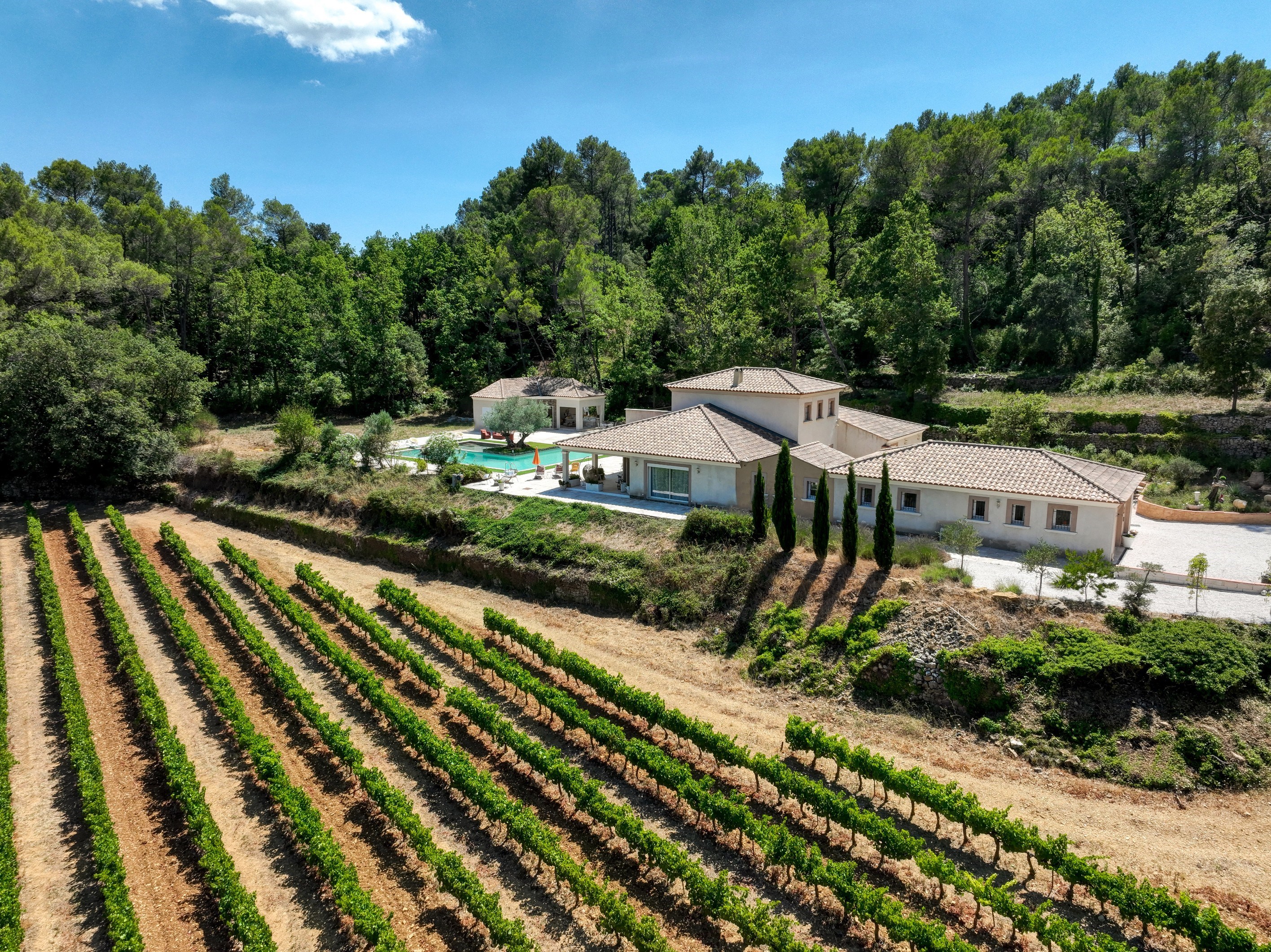  Besse-sur-Issole – Villa with Pool Surrounded by Vineyards - 物件實景