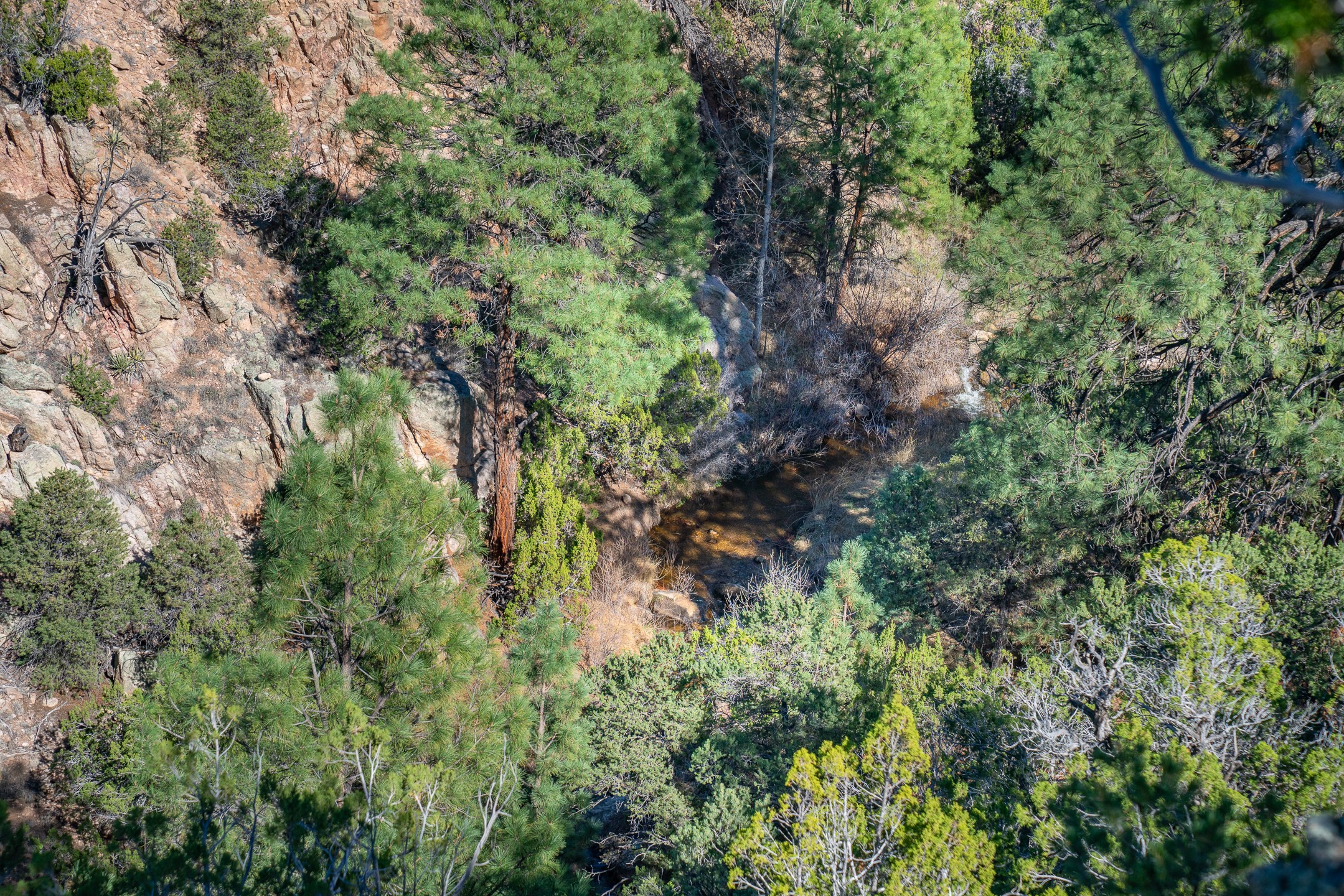  5.9 Acre Lot Camino Del Canon - 物件實景