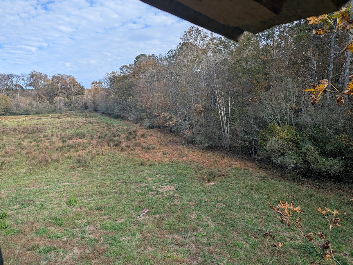 Bowdon, Georgia, 30108, United States, ,Land,For Sale,1989904