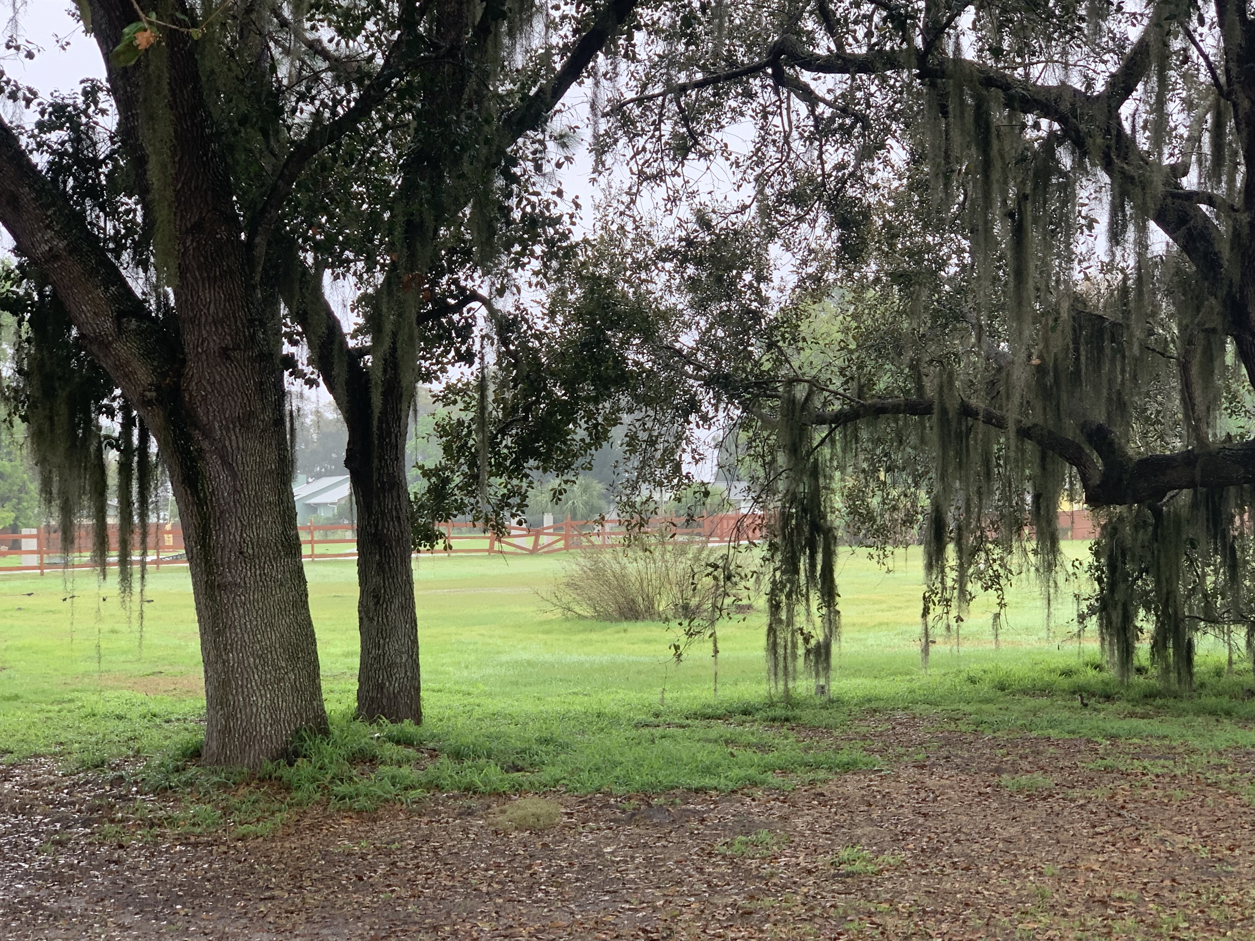 Marjorie Rd, St Cloud, Florida, 34772, United States, ,Land,For Sale,Marjorie Rd,1627842