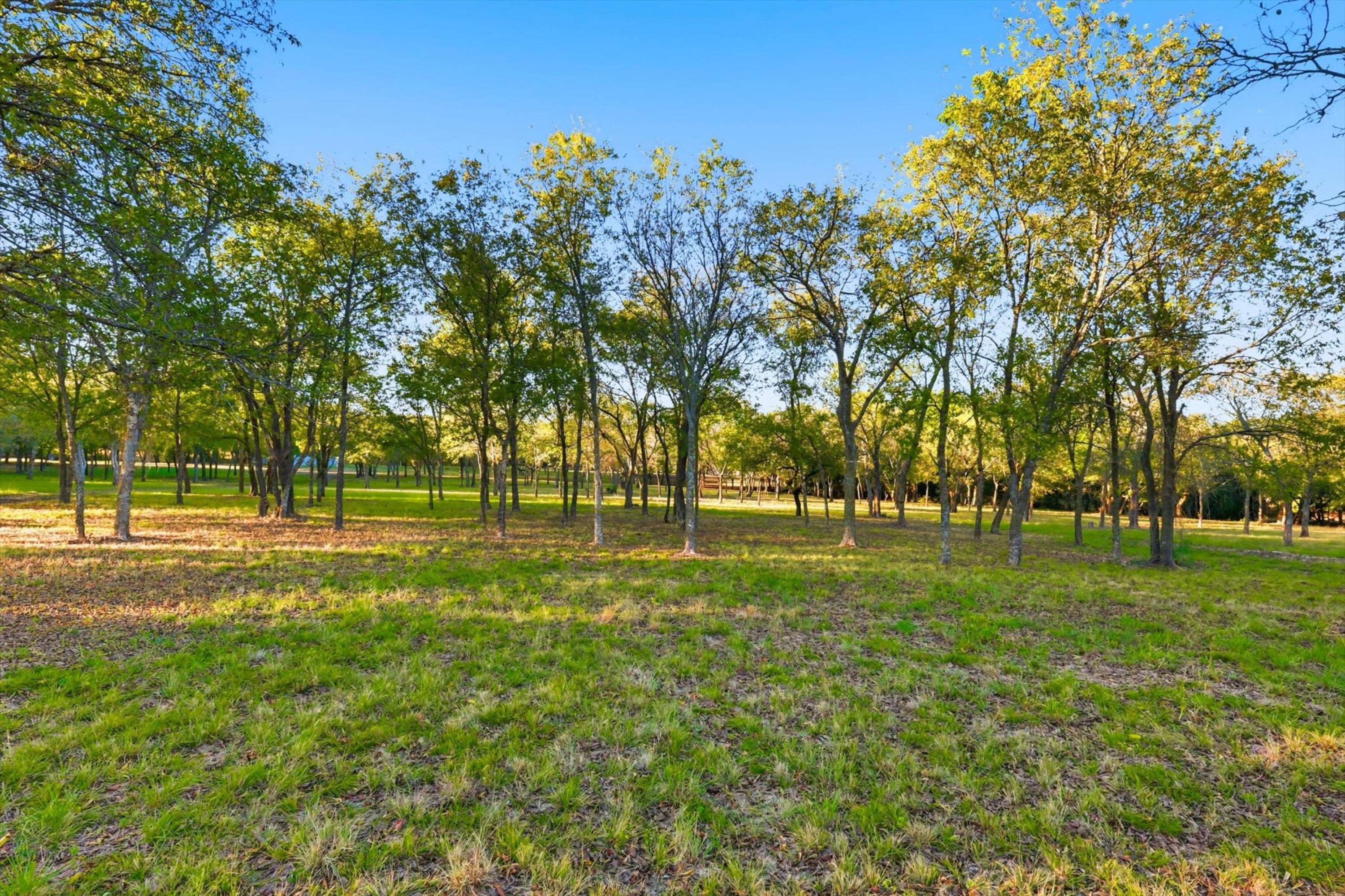  20 Acre Ranchette near luxury golf community in prestigious Aledo ISD - 物件實景