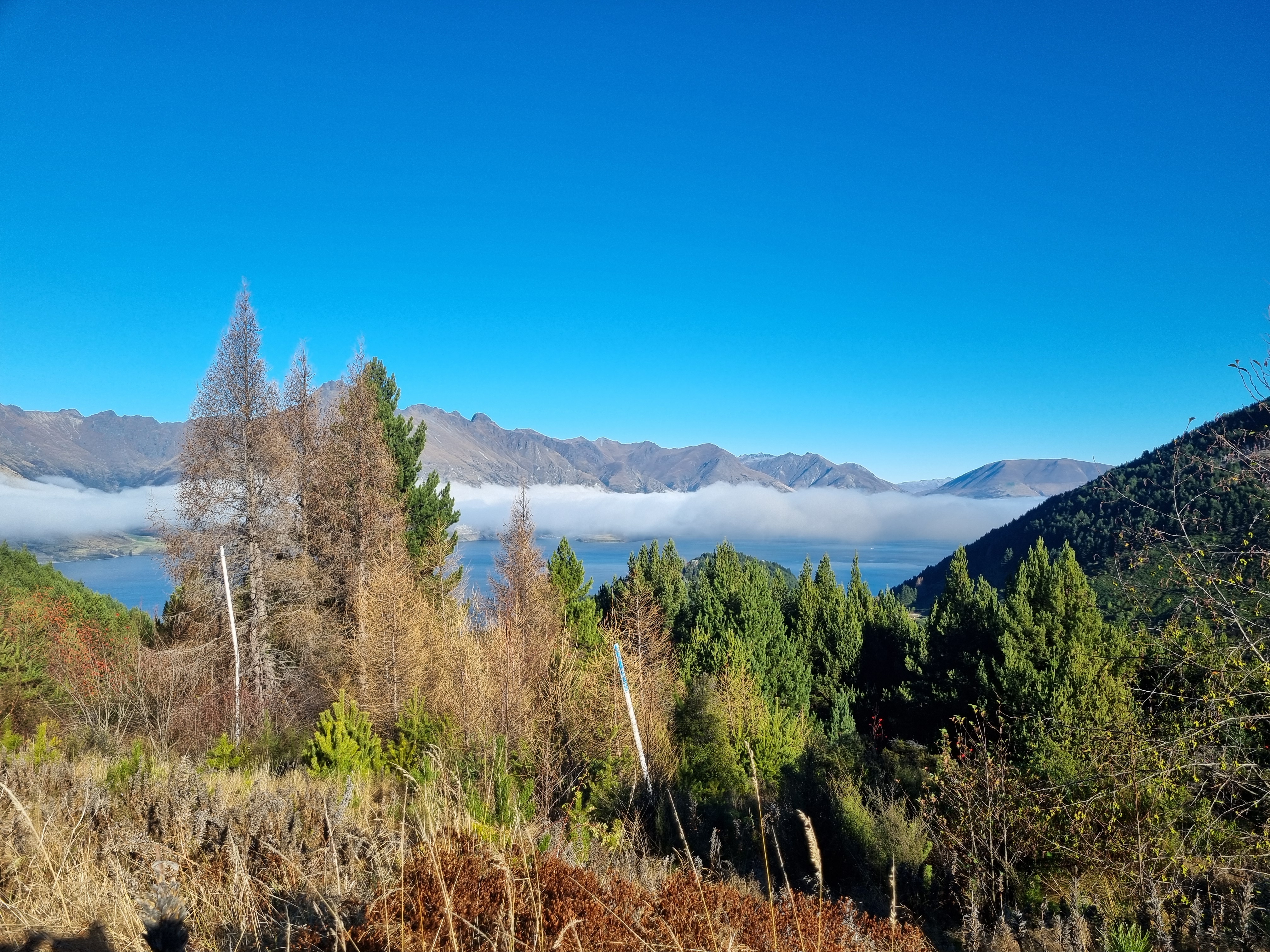  Alpine Charm With Extraordinary Possibilities - 物件實景