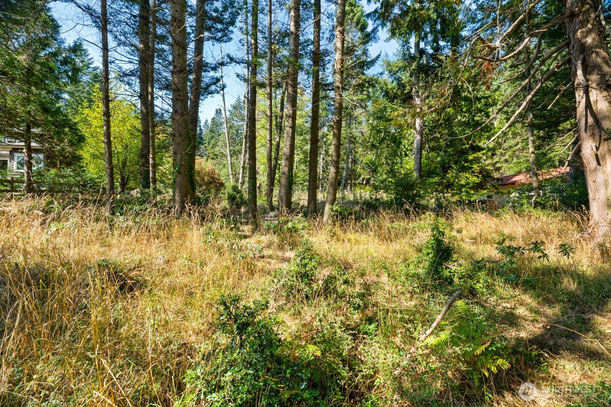 Friday Harbor, Washington, 98250, United States, ,Land,For Sale,1991261