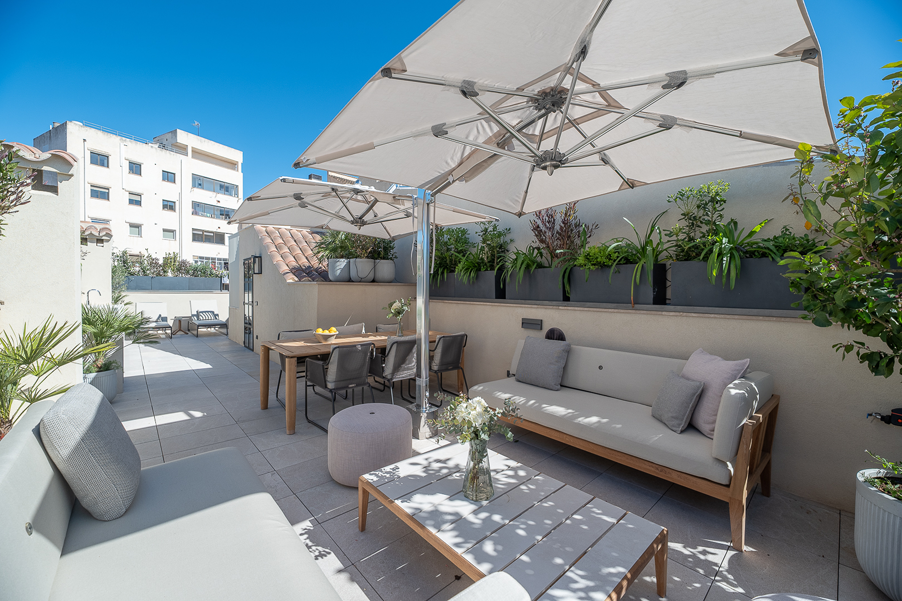  Terraced house with terrace and pool in the old town of Palma - 物件實景